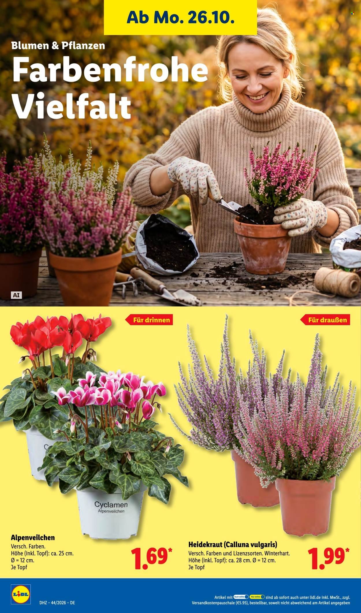 LIDL Prospekt - Ab Montag 26.10.2026