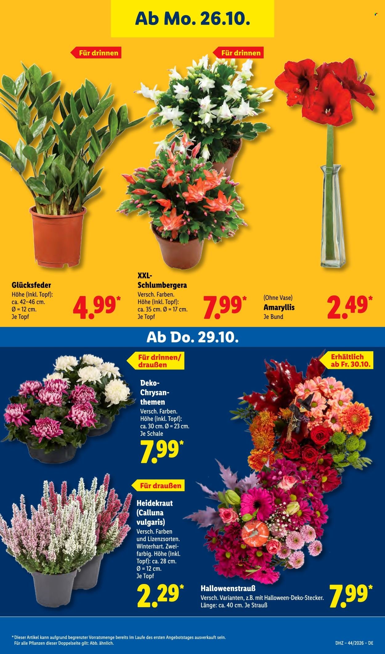 LIDL Prospekt - Ab Montag 26.10.2026