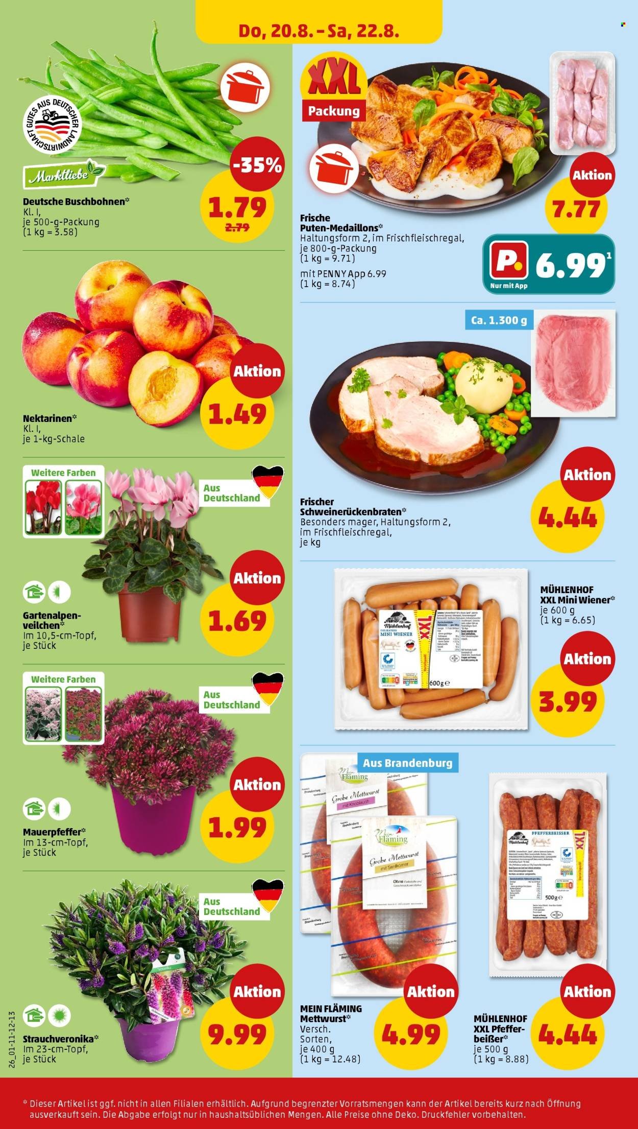 PENNY Prospekt - Ab Montag 17.08.2026
