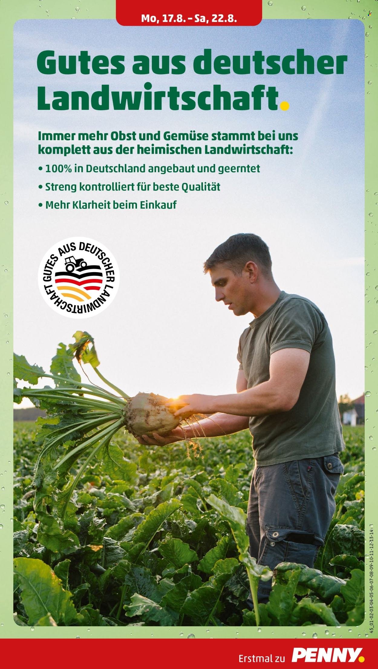 PENNY Prospekt - Ab Montag 17.08.2026