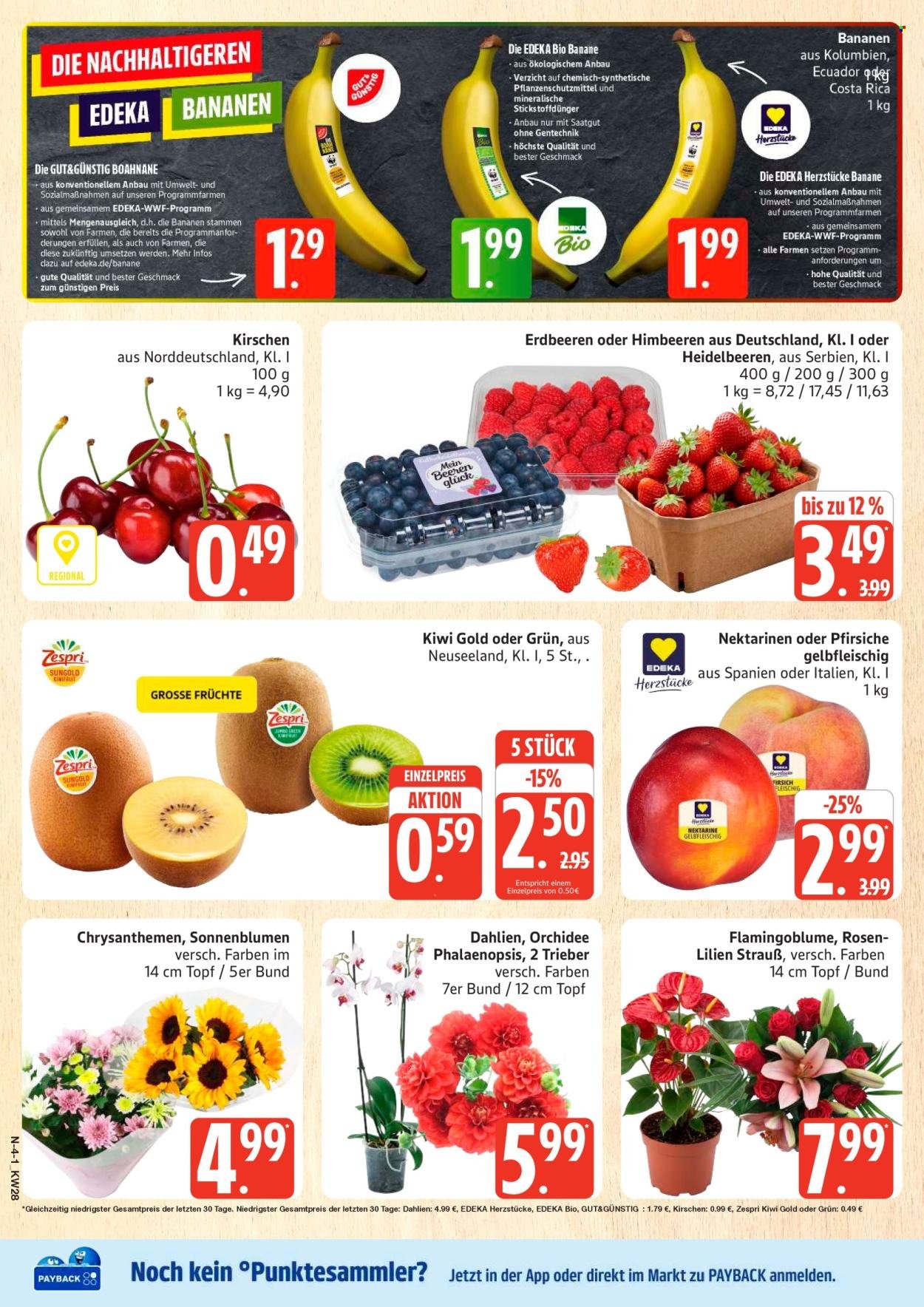 MARKTKAUF Prospekt - Ab Montag 6.07.2026