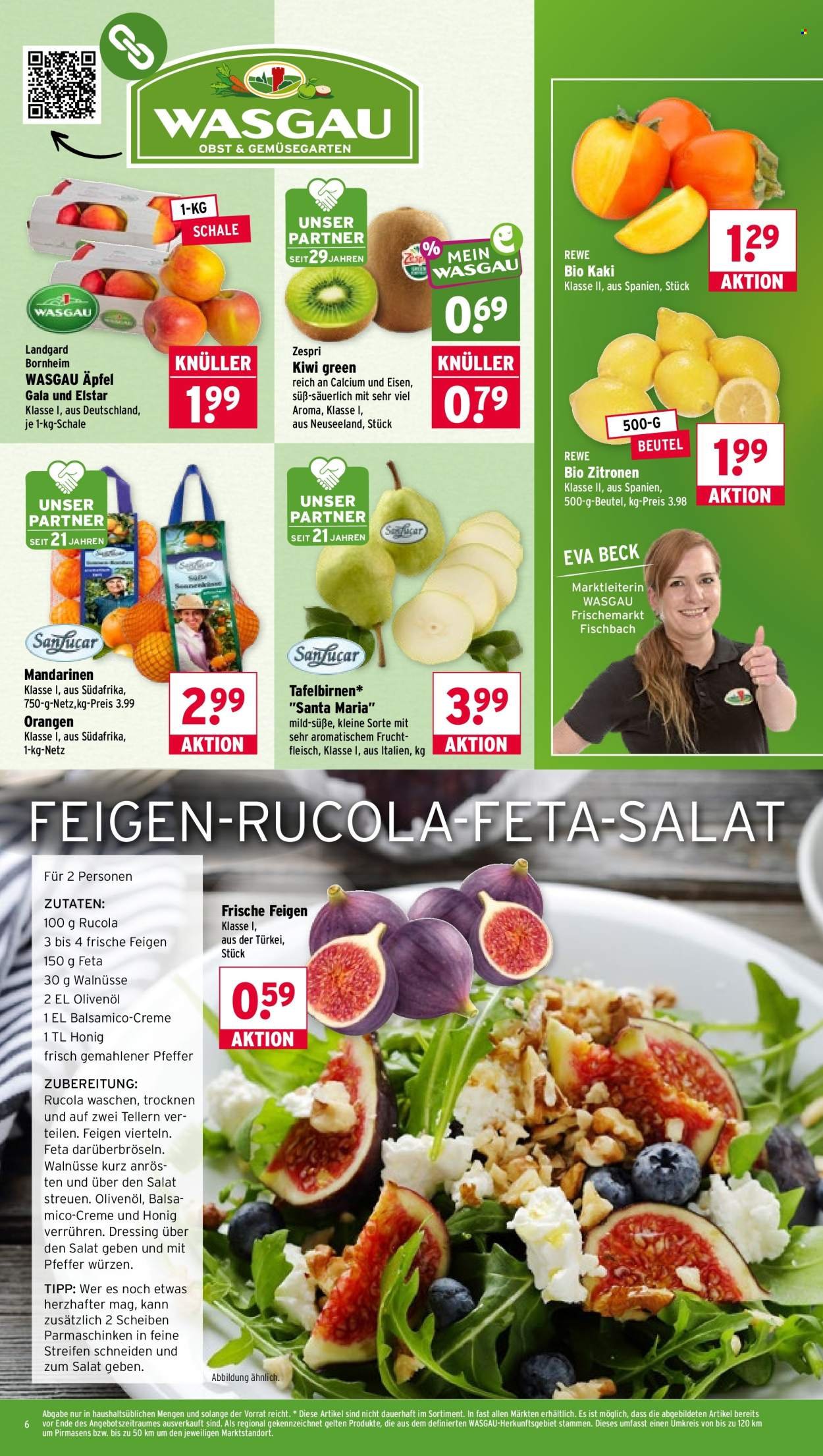 WASGAU Prospekt - Ab Montag 19.10.2026