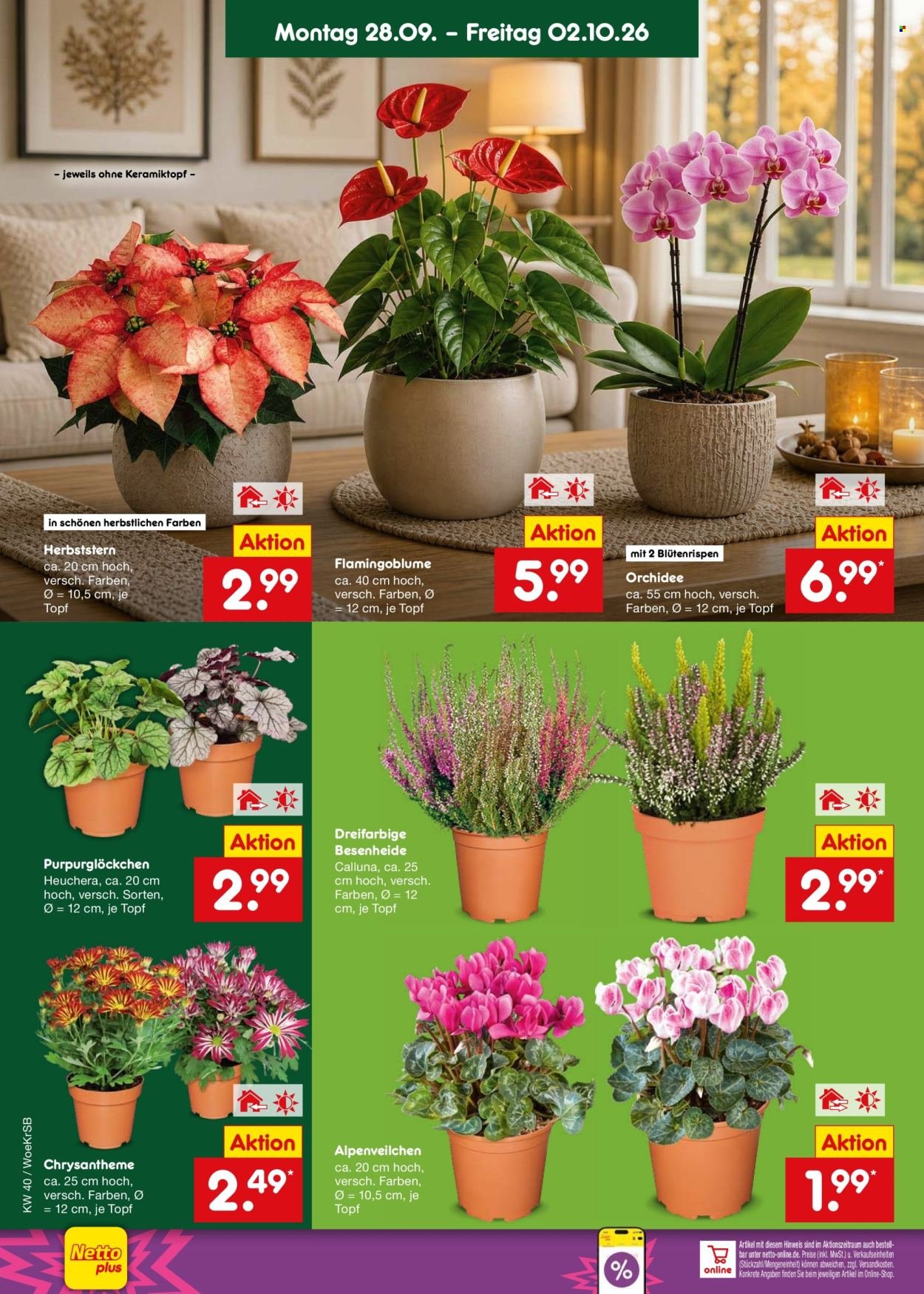 NETTO MARKEN-DISCOUNT Prospekt - Ab Montag 28.09.2026