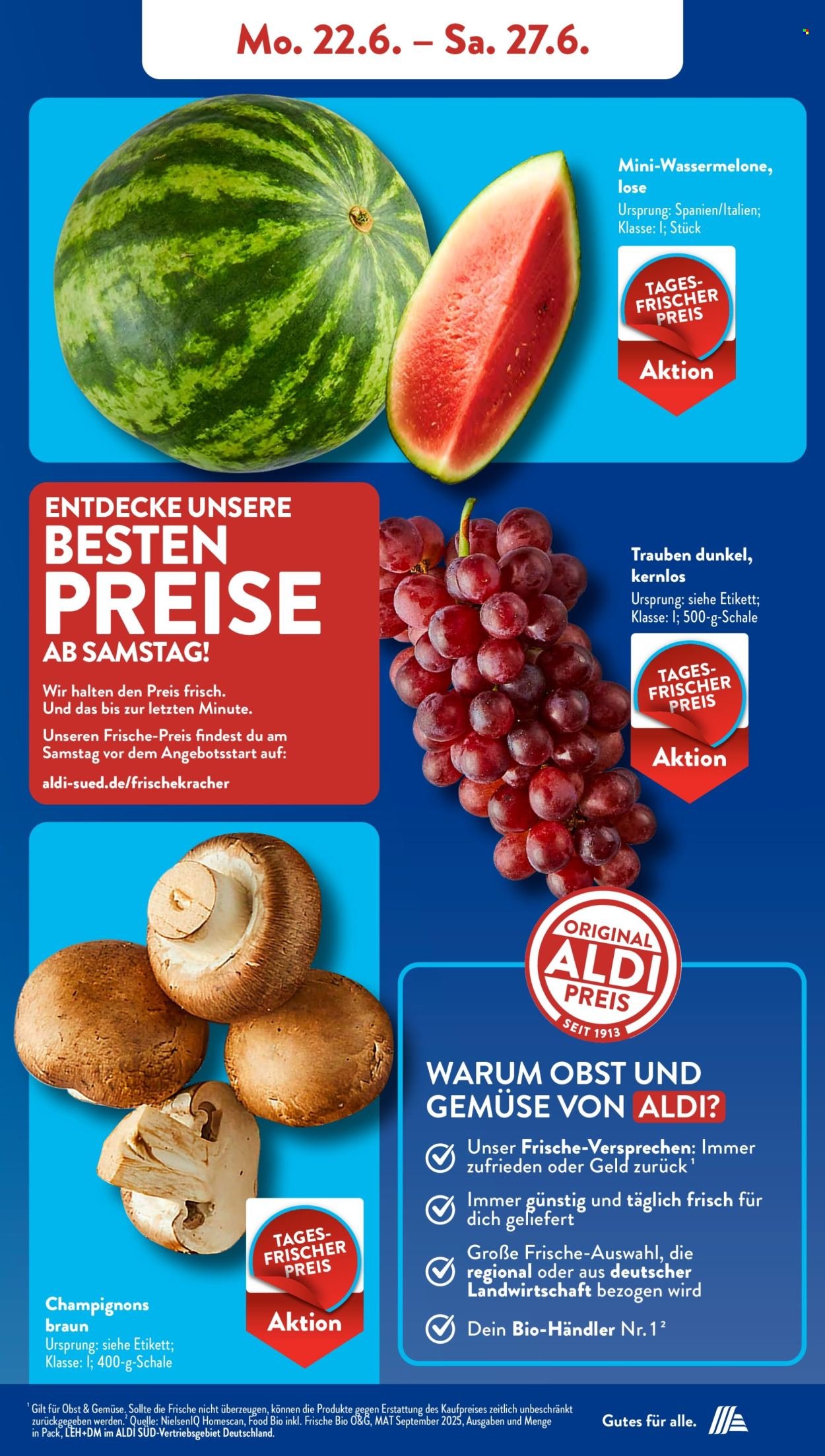 ALDI SÜD Prospekt - Ab Montag 22.06.2026