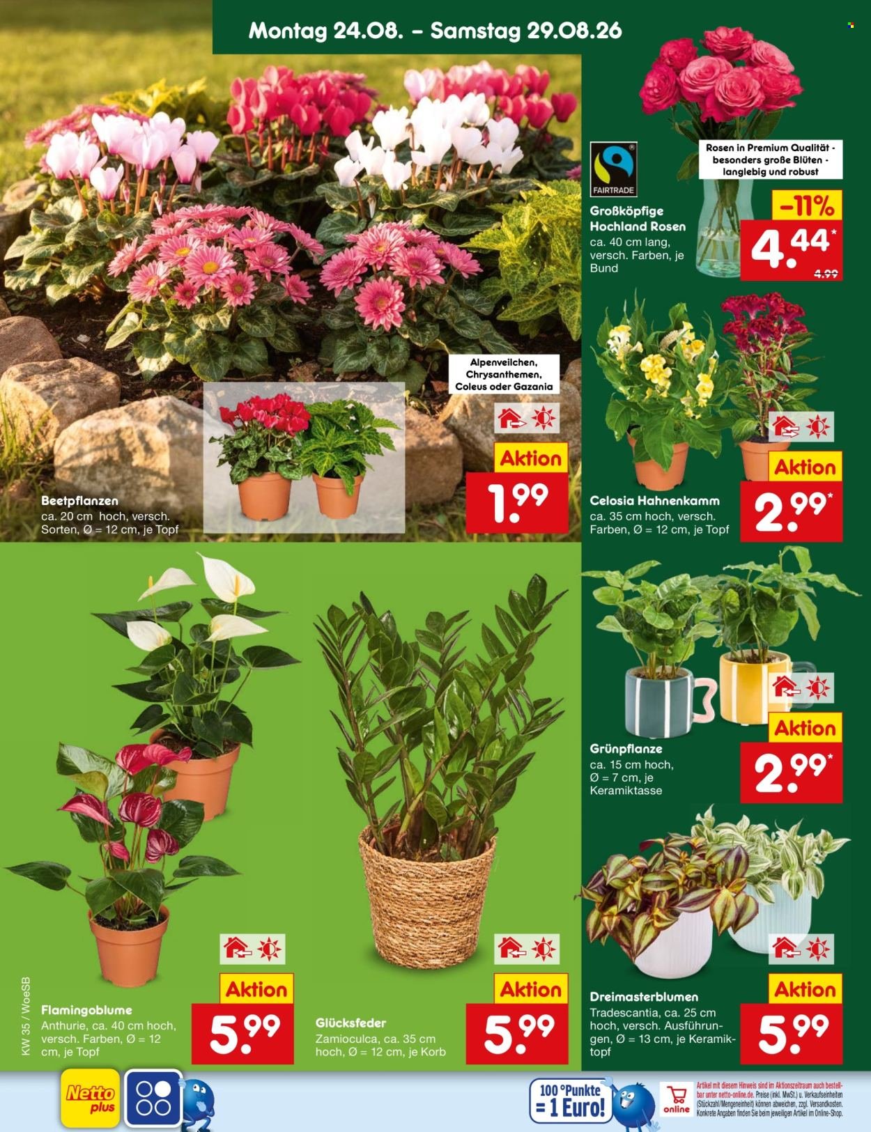 NETTO MARKEN-DISCOUNT Prospekt - Ab Montag 24.08.2026