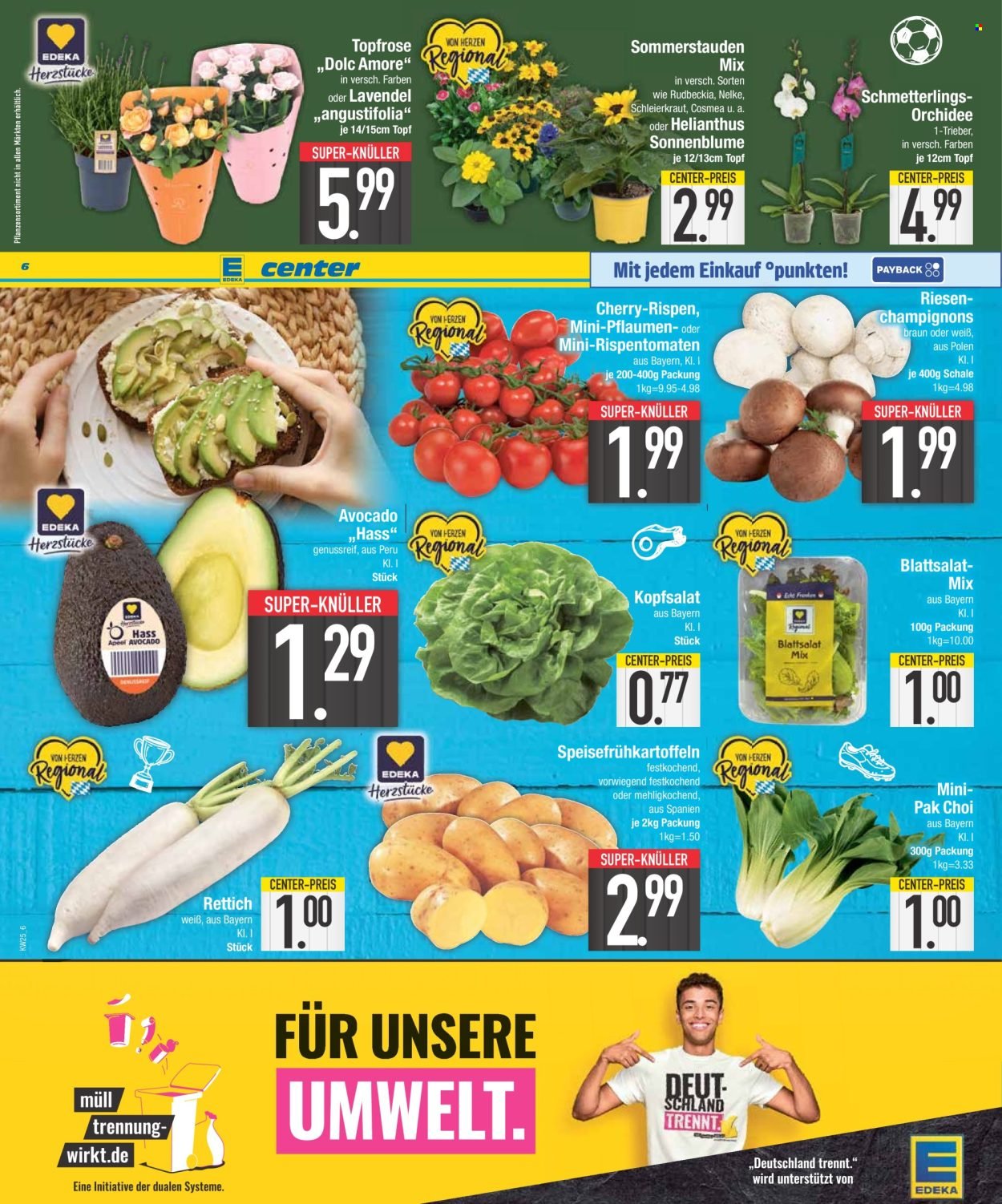 EDEKA Prospekt - Ab Montag 15.06.2026