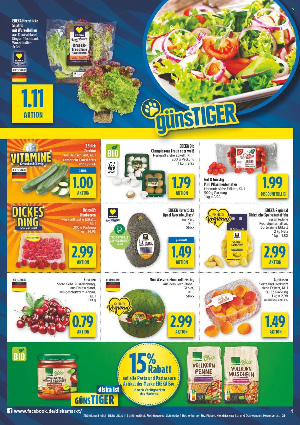 DISKA Prospekt - Sachsen-Thüringen KW33