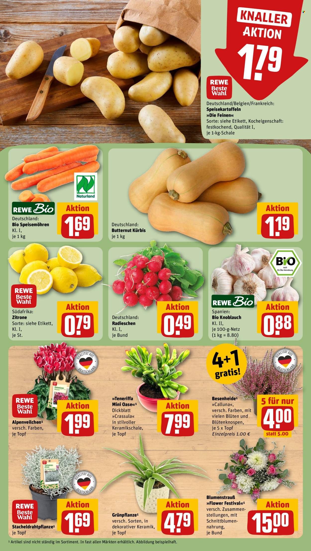REWE Prospekt - Ab Montag 5.10.2026