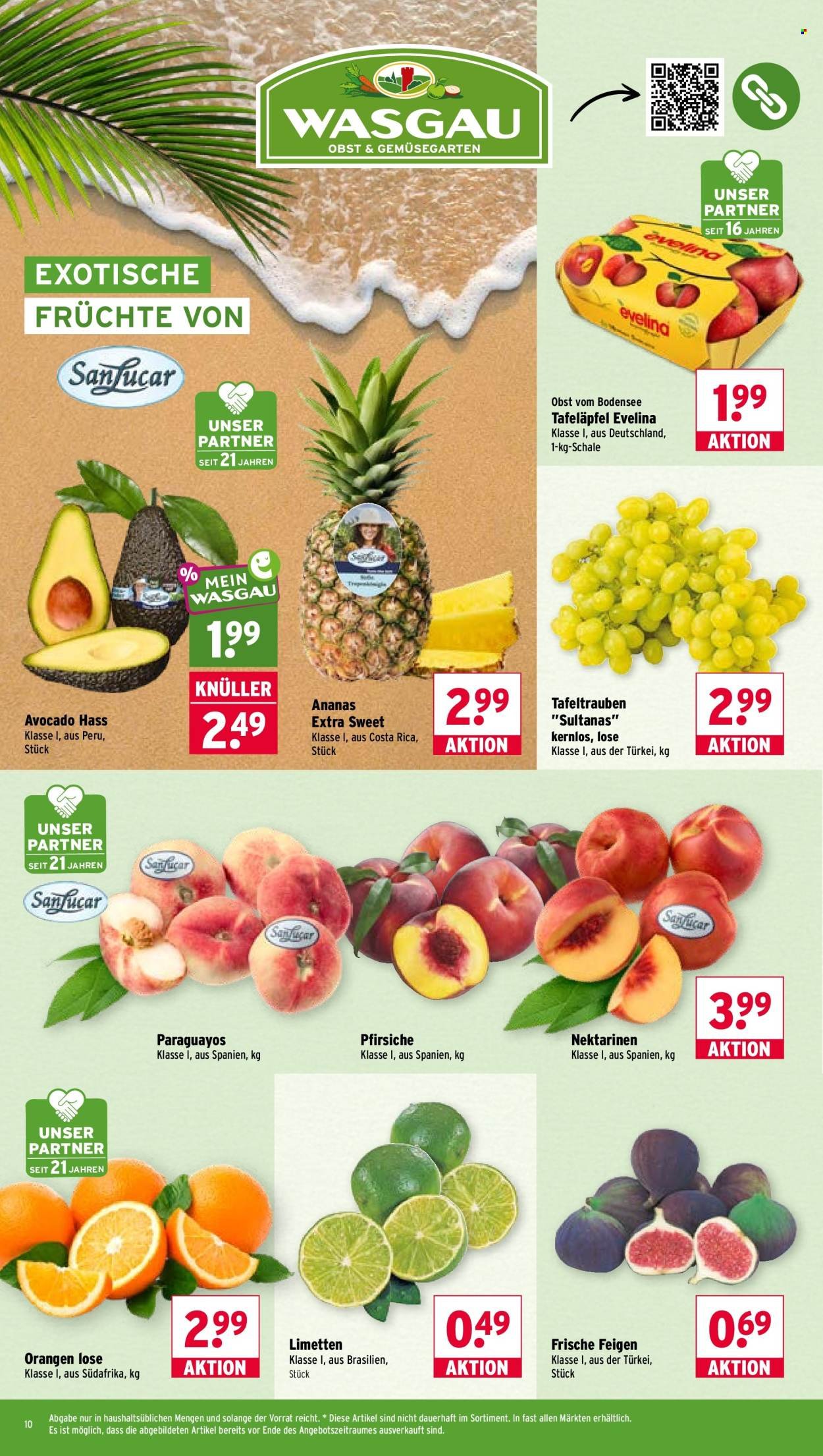 WASGAU Prospekt - Ab Montag 31.08.2026