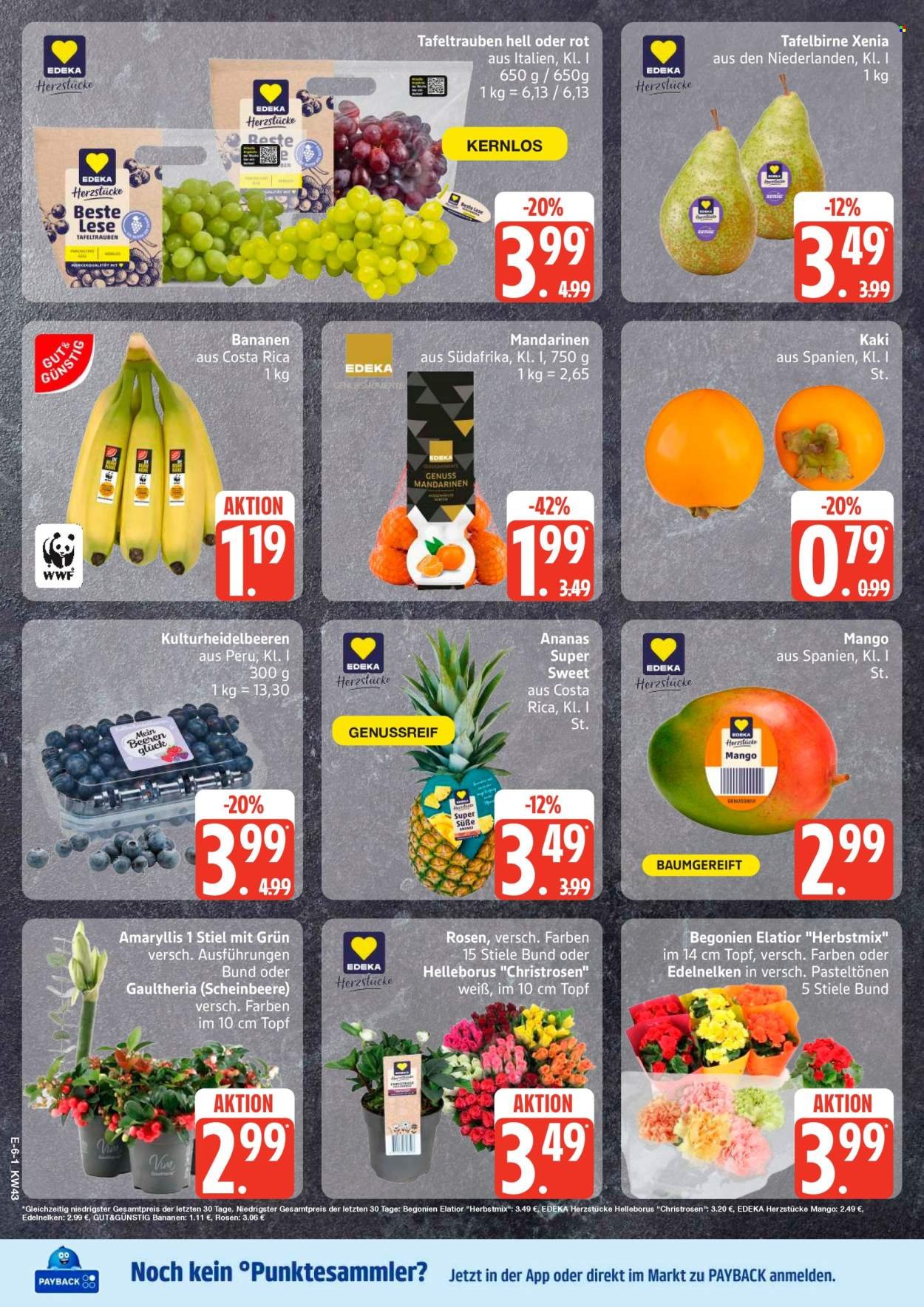 EDEKA Prospekt - Ab Montag 19.10.2026