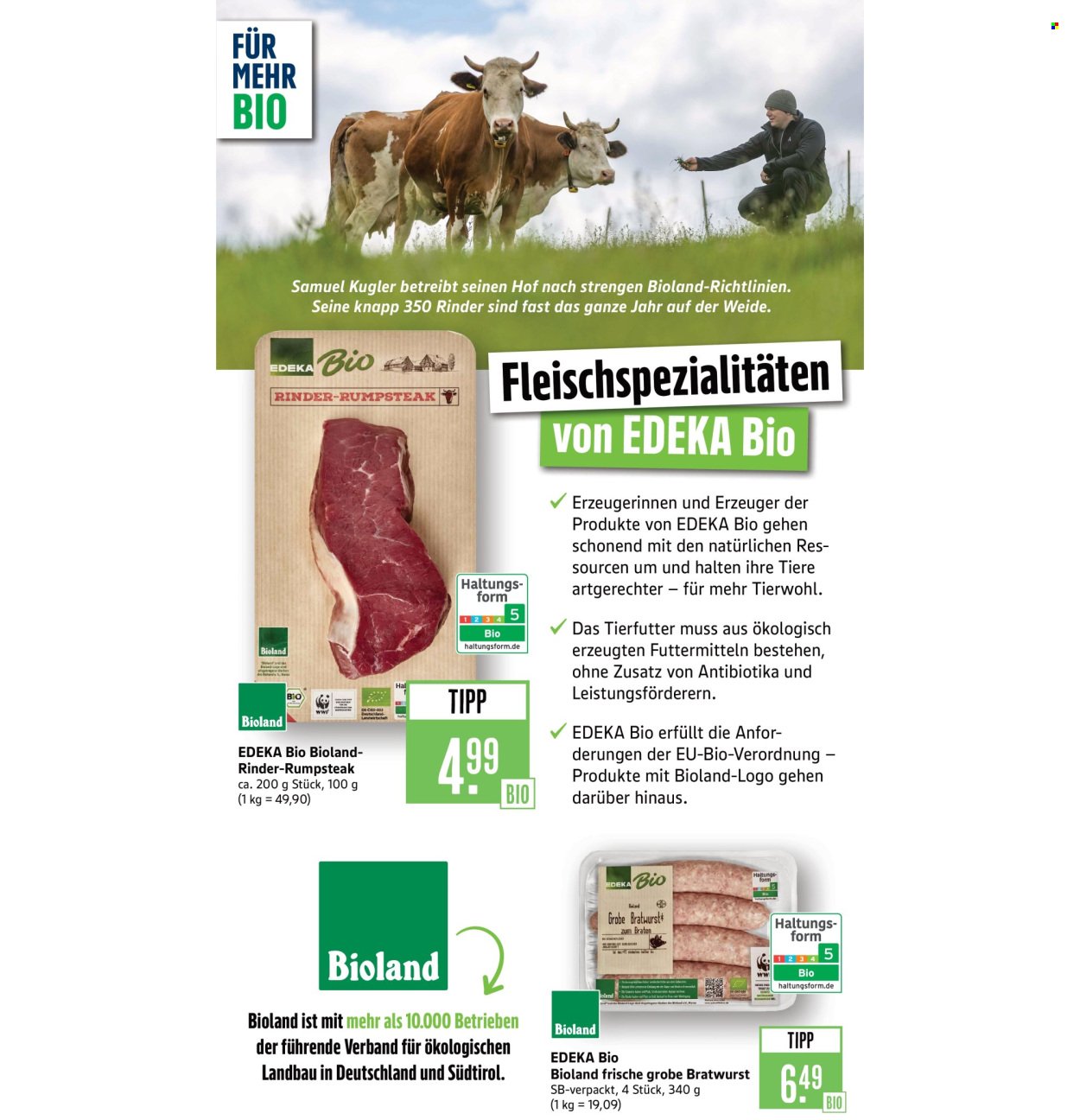MARKTKAUF Prospekt - Ab Montag 15.09.2025 (2025-09-15 - 2025-09-20)