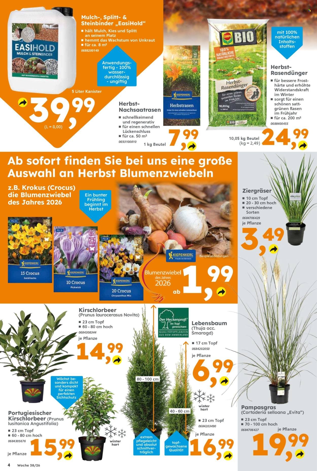 GLOBUS BAUMARKT Prospekt - Ab Montag 14.09.2026