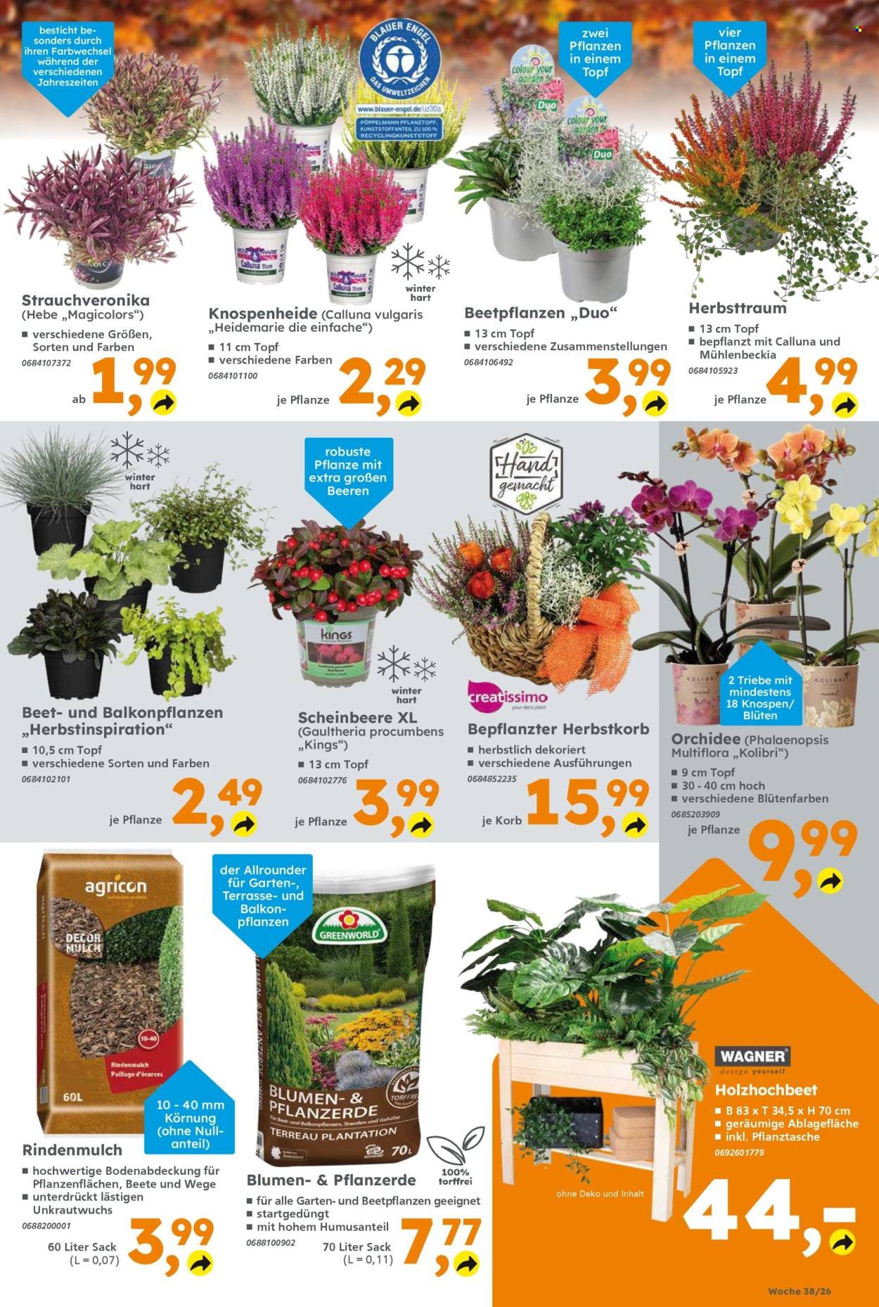 GLOBUS BAUMARKT Prospekt - Ab Montag 14.09.2026