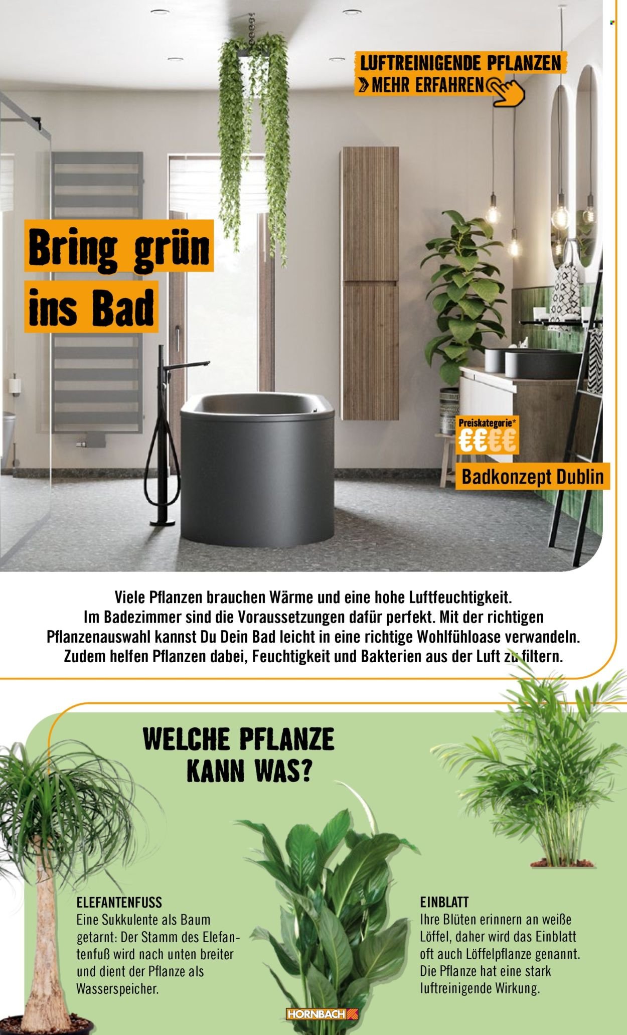 HORNBACH Prospekt - Bad (2026-02-01 - 2026-02-01)