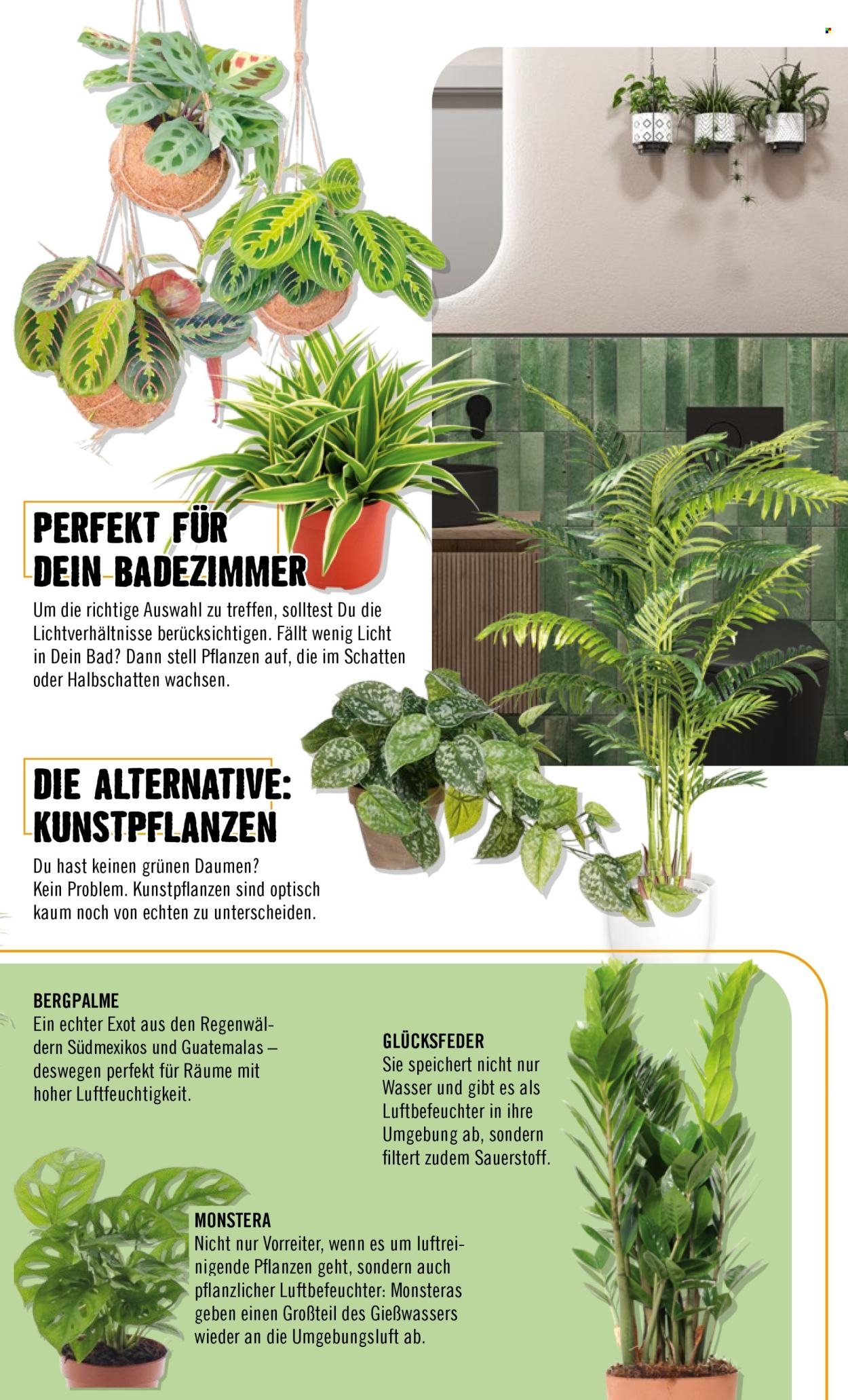 HORNBACH Prospekt - Bad (2026-02-01 - 2026-02-01)