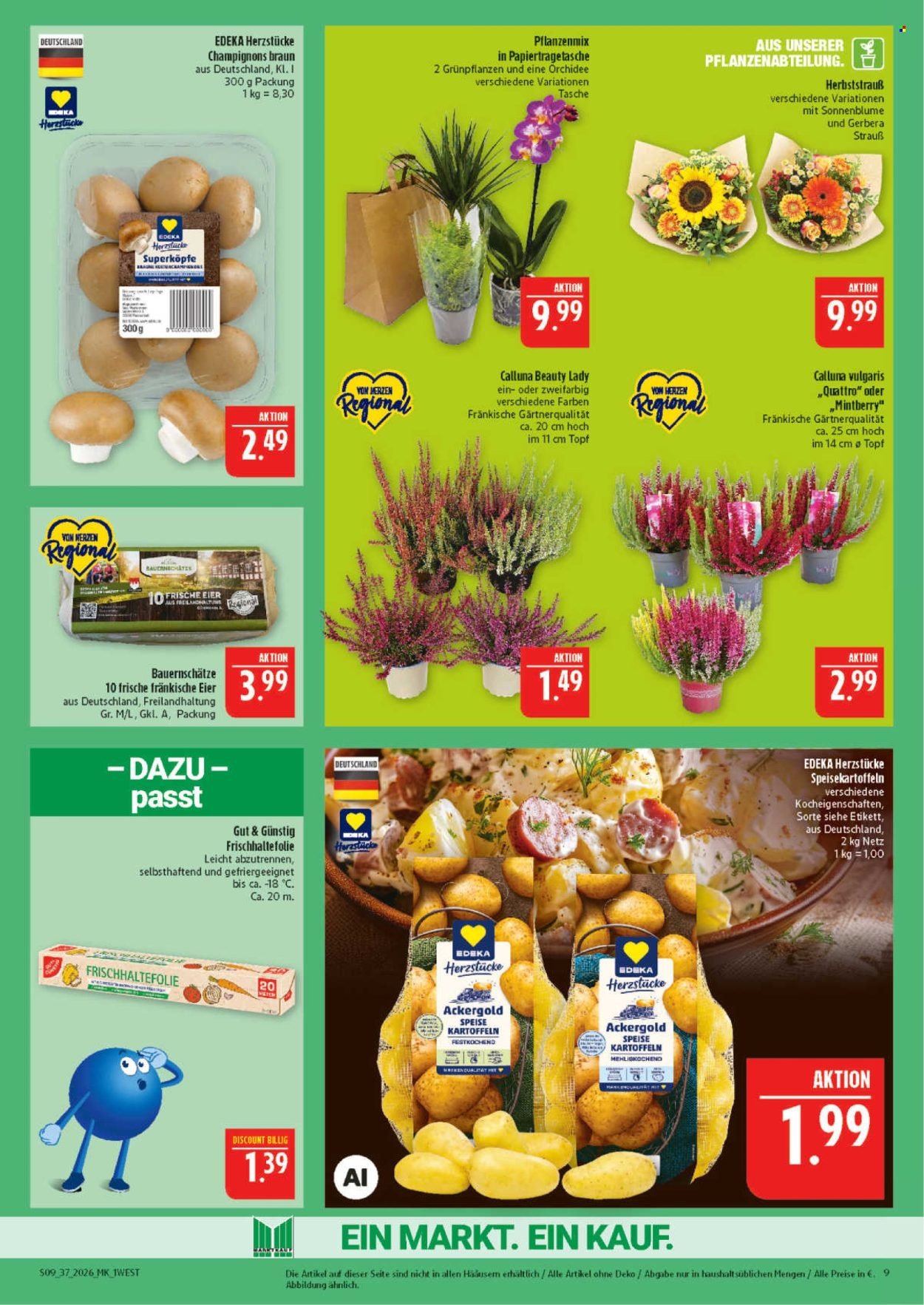MARKTKAUF Prospekt - Ab Montag 7.09.2026