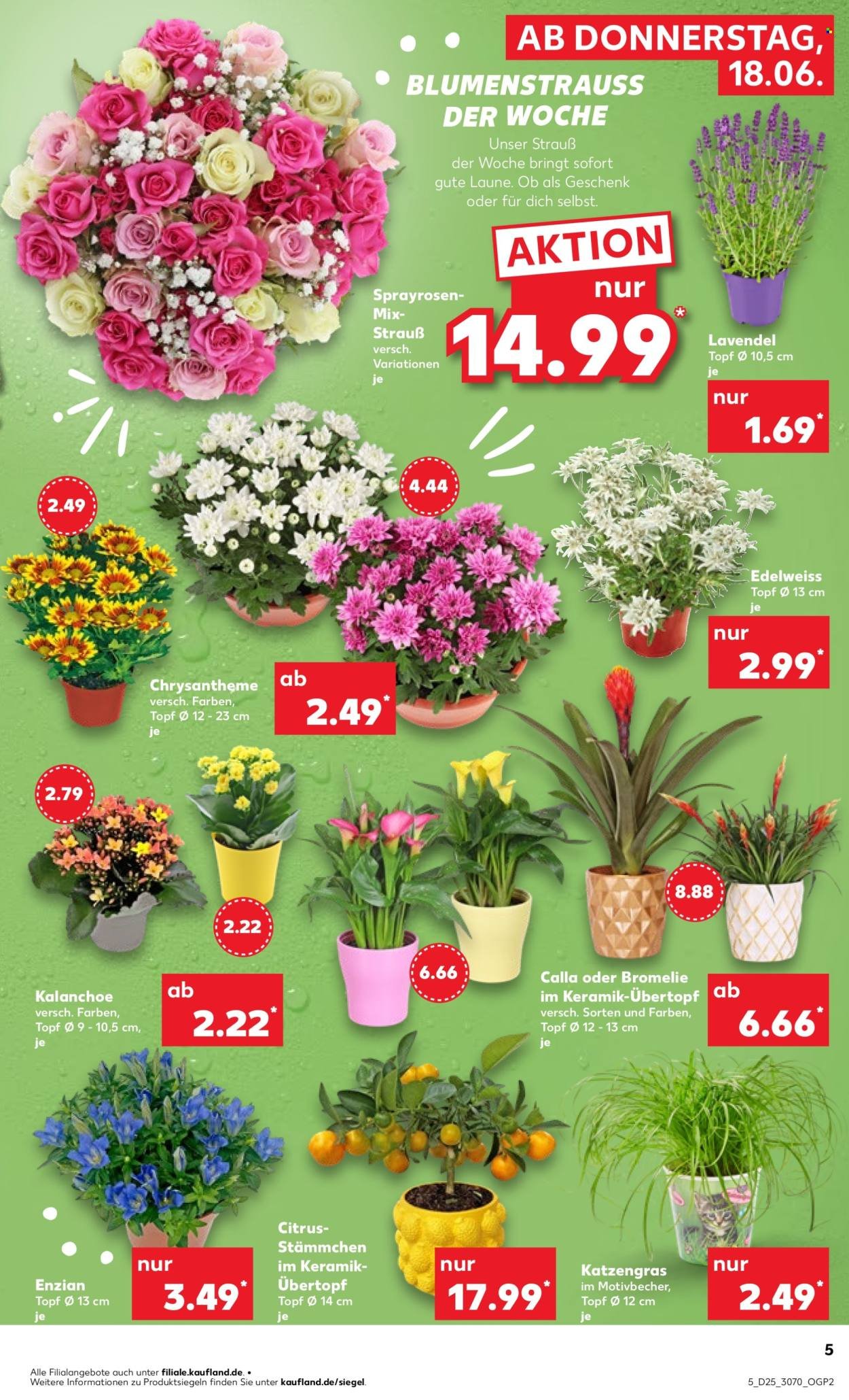 KAUFLAND Prospekt - Ab Donnerstag 18.06.2026