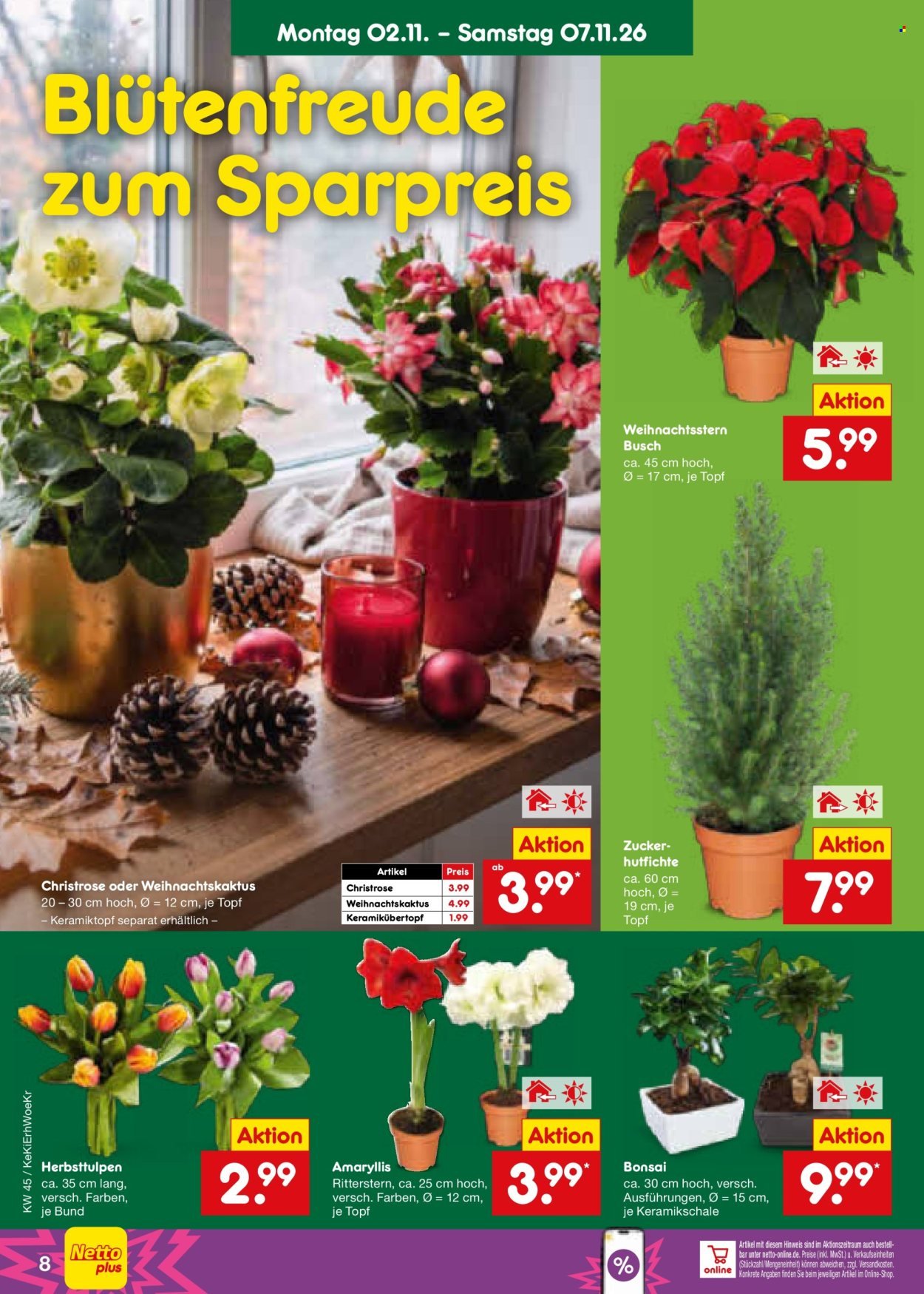 NETTO MARKEN-DISCOUNT Prospekt - Ab Montag 2.11.2026
