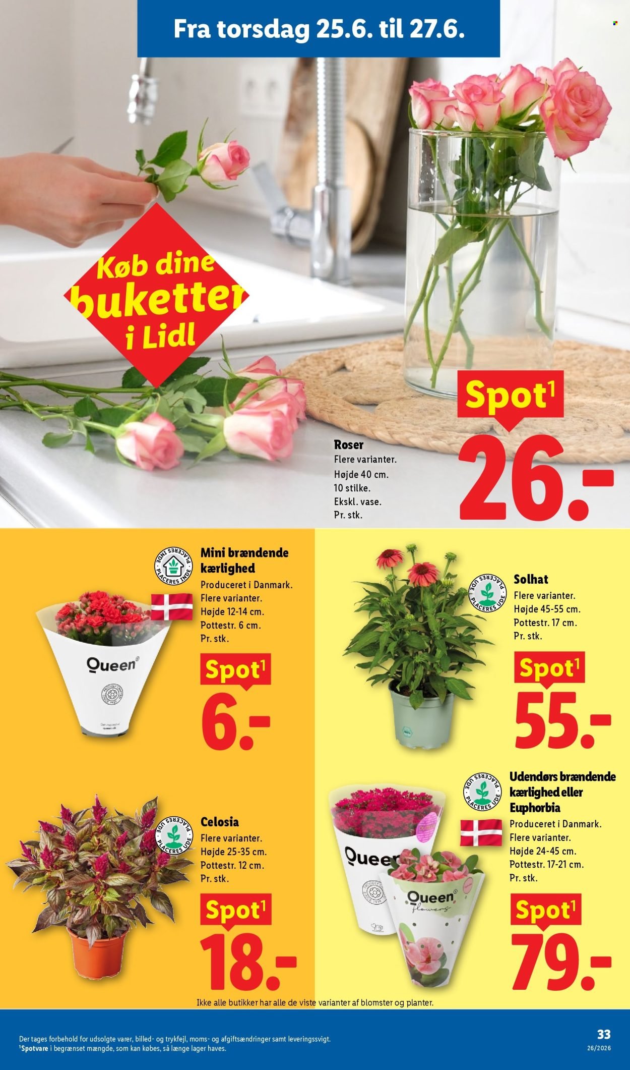 LIDL tilbudsavis - Ugens Nonfood