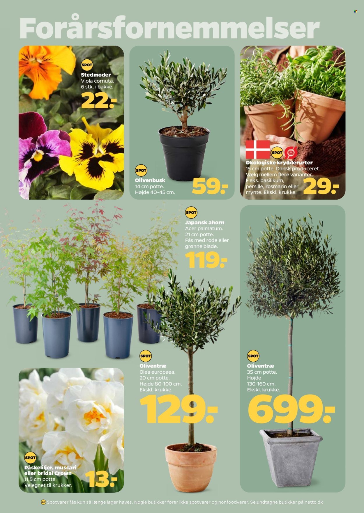 NETTO tilbudsavis - Fra lørdag den 28. marts 2026 (2026-03-28 - 2026-04-03)