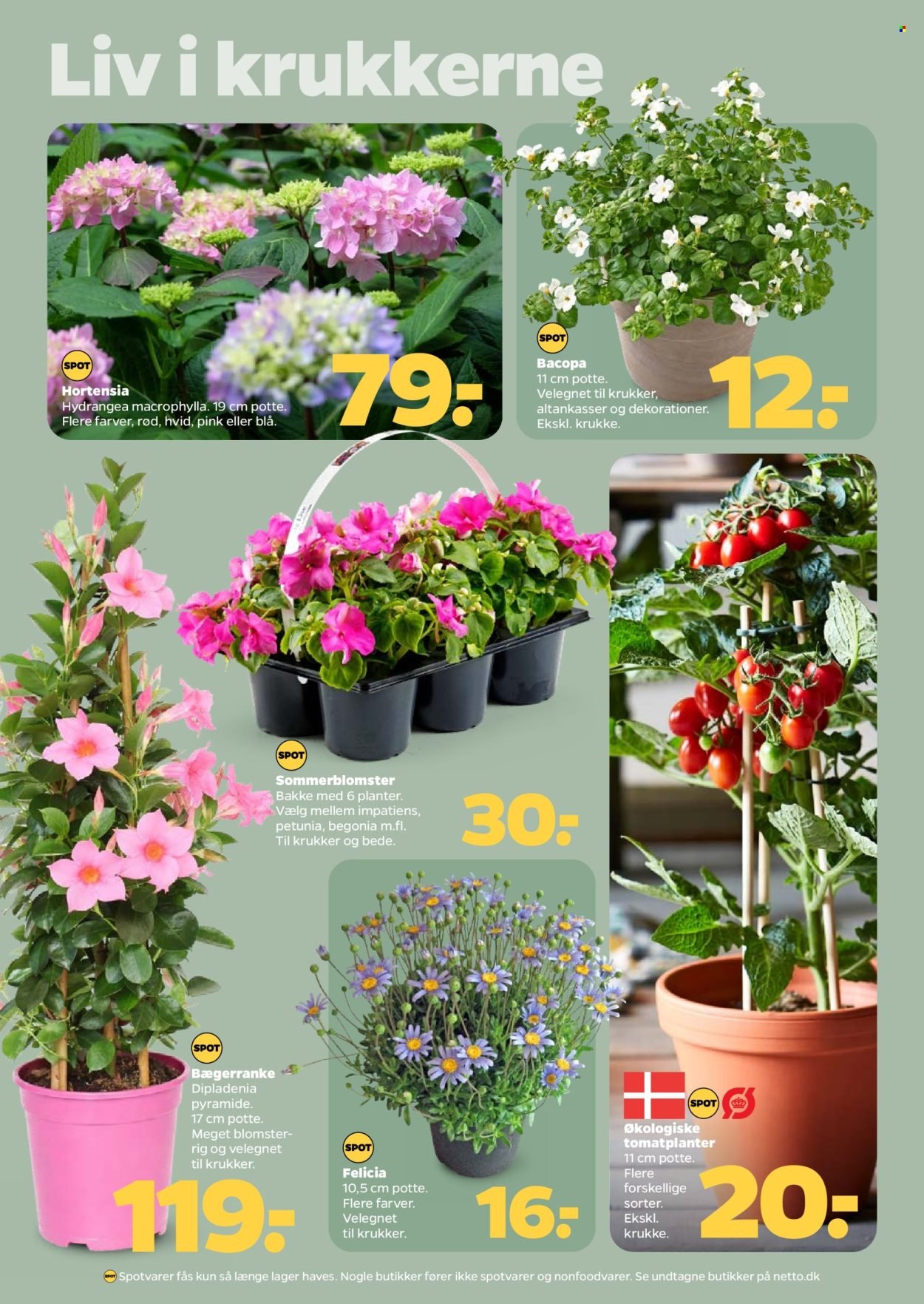 NETTO tilbudsavis - Fra lørdag den 2. maj 2026