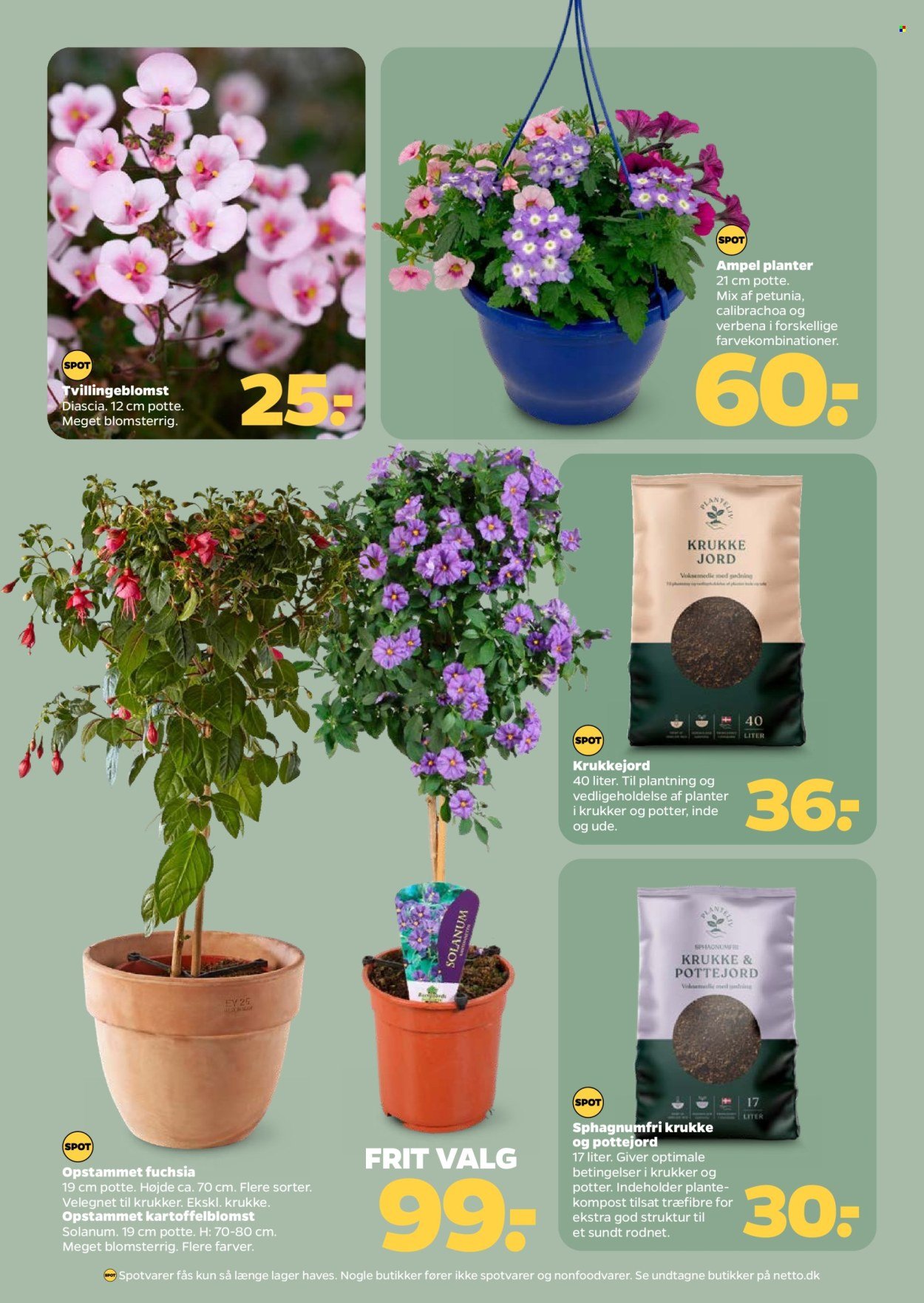 NETTO tilbudsavis - Fra lørdag den 2. maj 2026