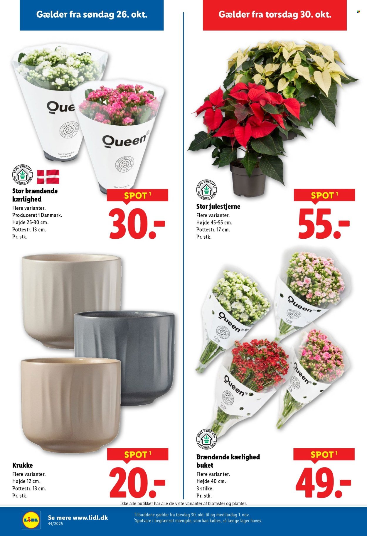 LIDL tilbudsavis - Fra søndag den 26. oktober 2025 (2025-10-26 - 2025-11-01)
