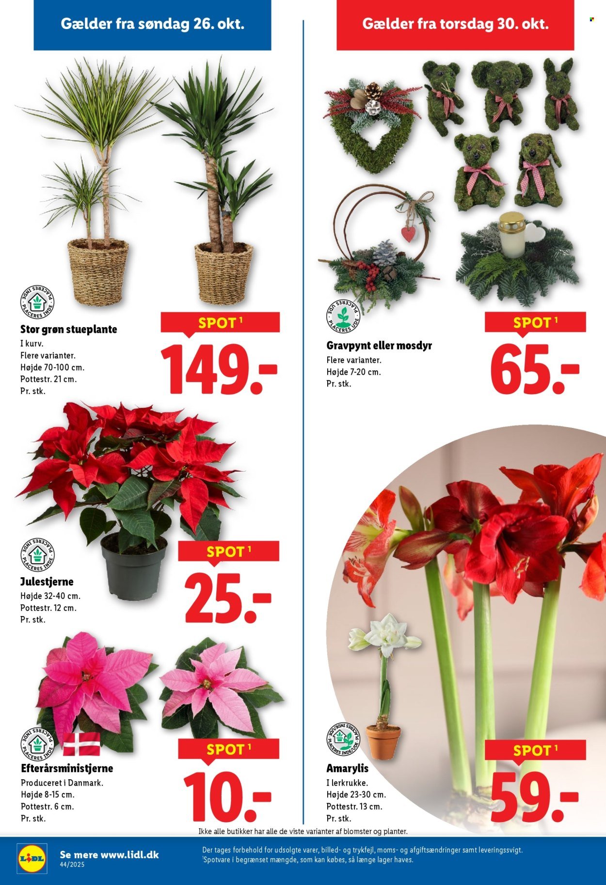 LIDL tilbudsavis - Fra søndag den 26. oktober 2025 (2025-10-26 - 2025-11-01)