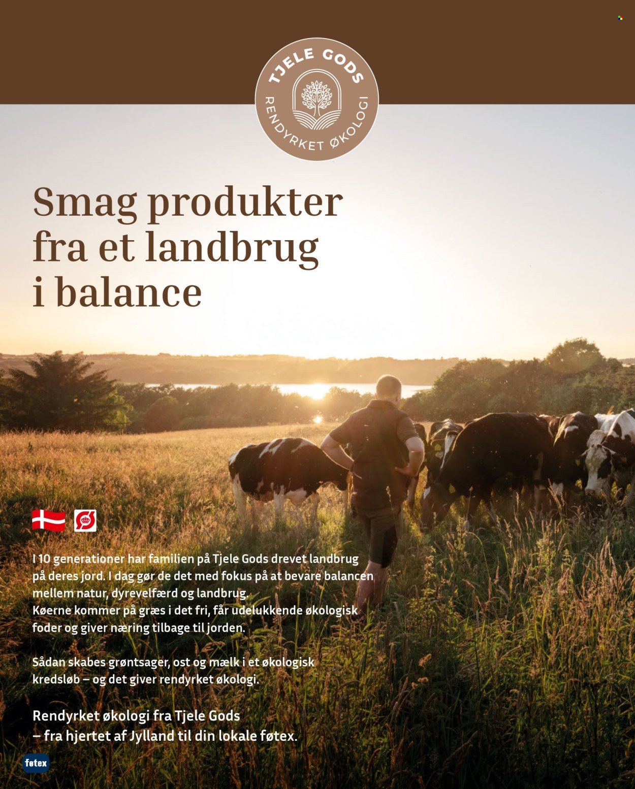 FØTEX tilbudsavis - Fra tirsdag den 7. april 2026