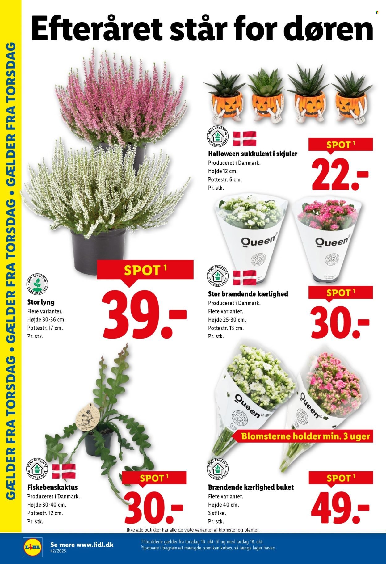 LIDL tilbudsavis - Fra søndag den 12. oktober 2025 (2025-10-12 - 2025-10-18)