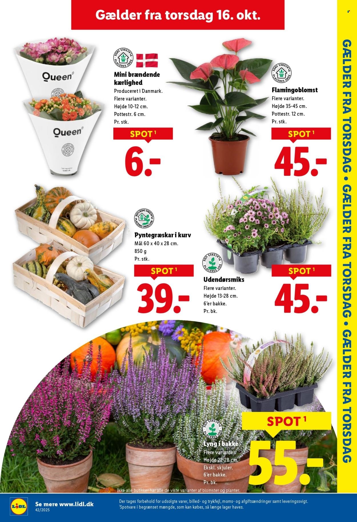 LIDL tilbudsavis - Fra søndag den 12. oktober 2025 (2025-10-12 - 2025-10-18)