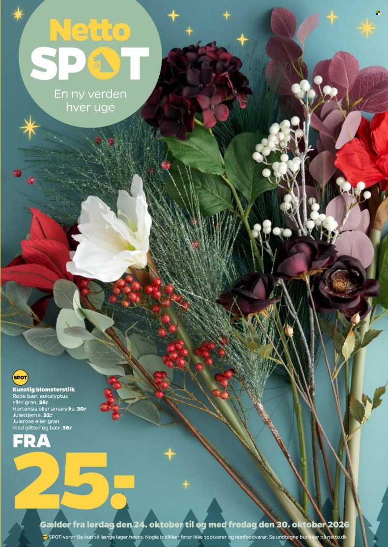 NETTO tilbudsavis - Fra lørdag den 24. oktober 2026