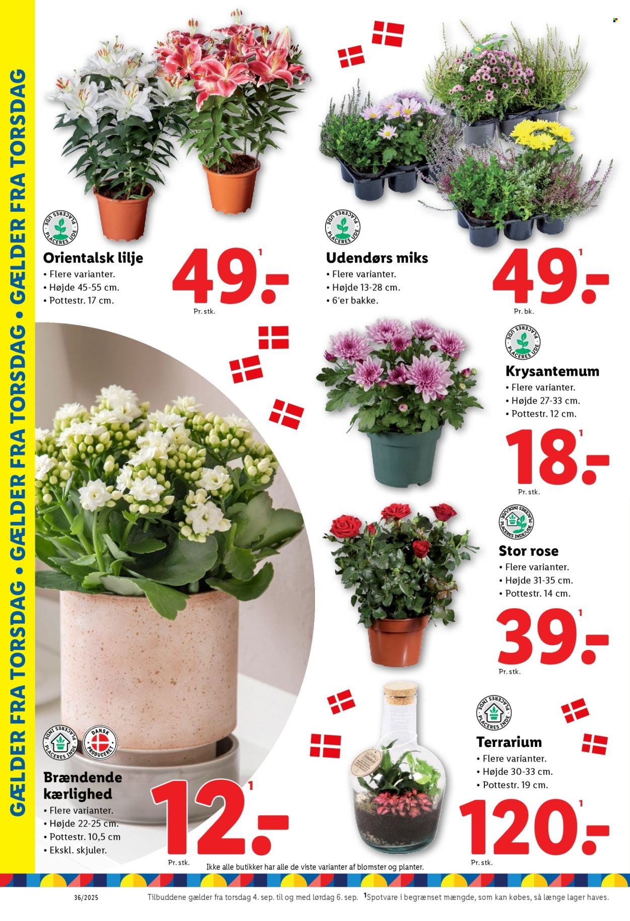 LIDL tilbudsavis - Fra søndag den 31. august 2025 (2025-08-31 - 2025-09-06)