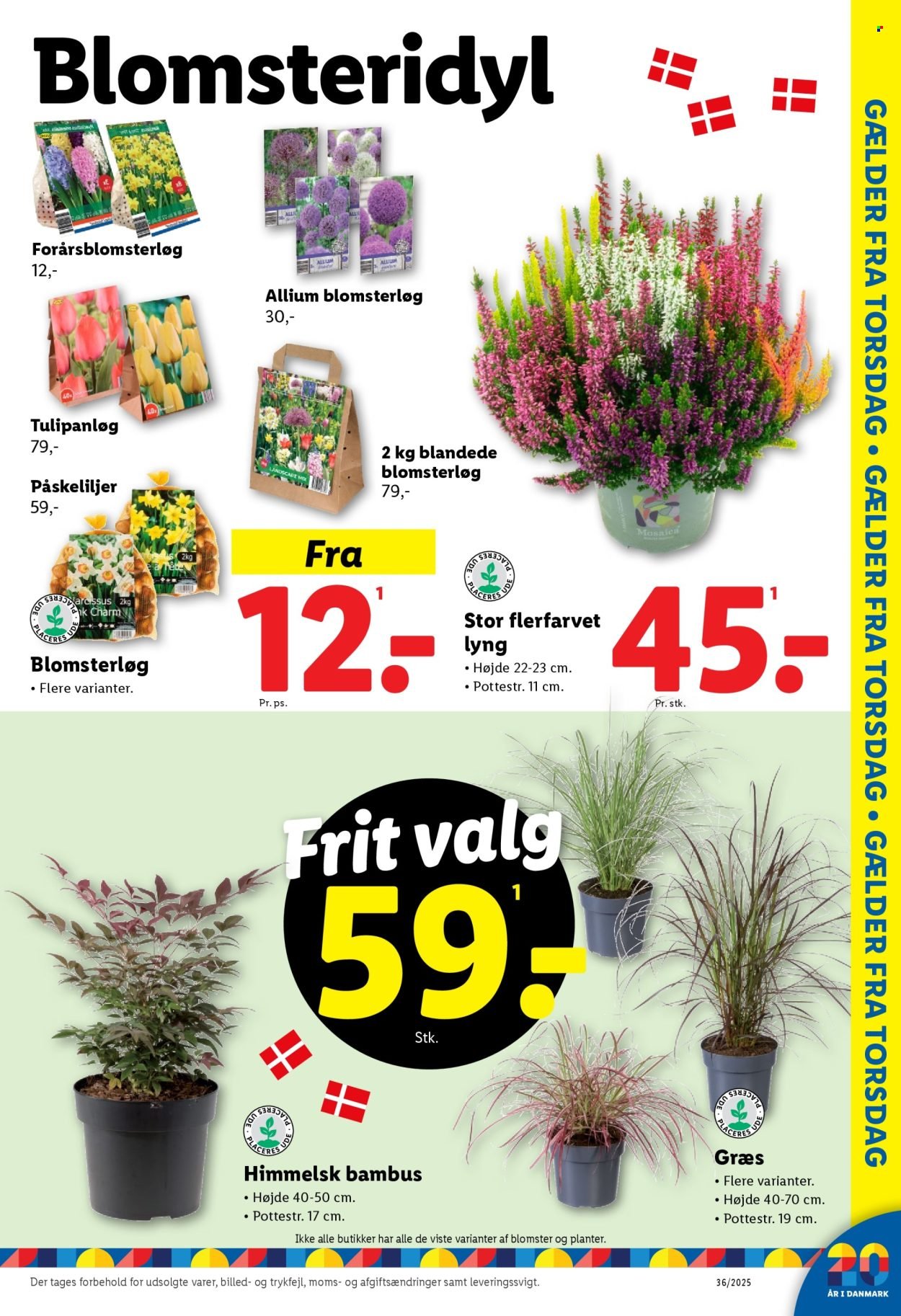 LIDL tilbudsavis - Fra søndag den 31. august 2025 (2025-08-31 - 2025-09-06)