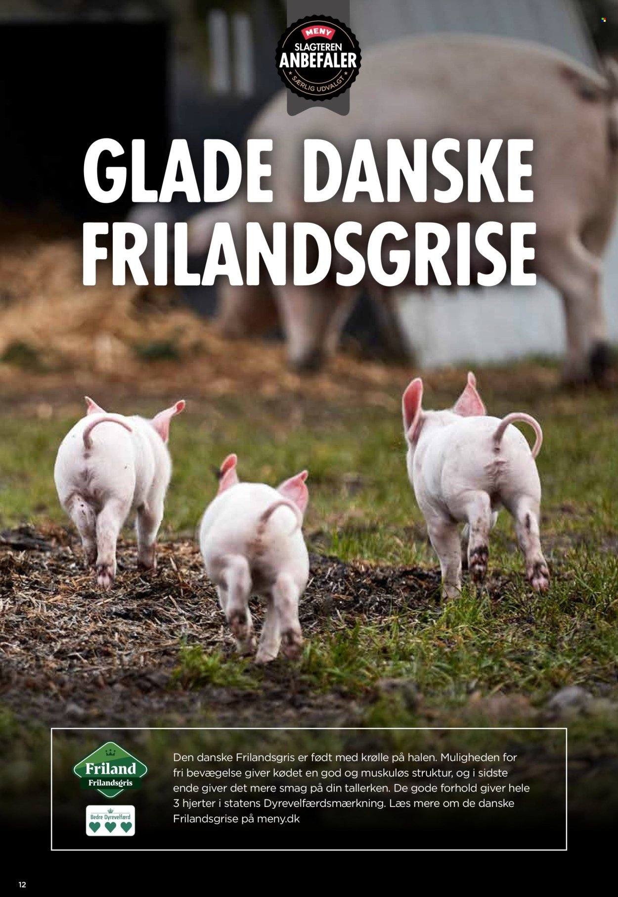 MENY tilbudsavis - Fra fredag den 14. november 2025