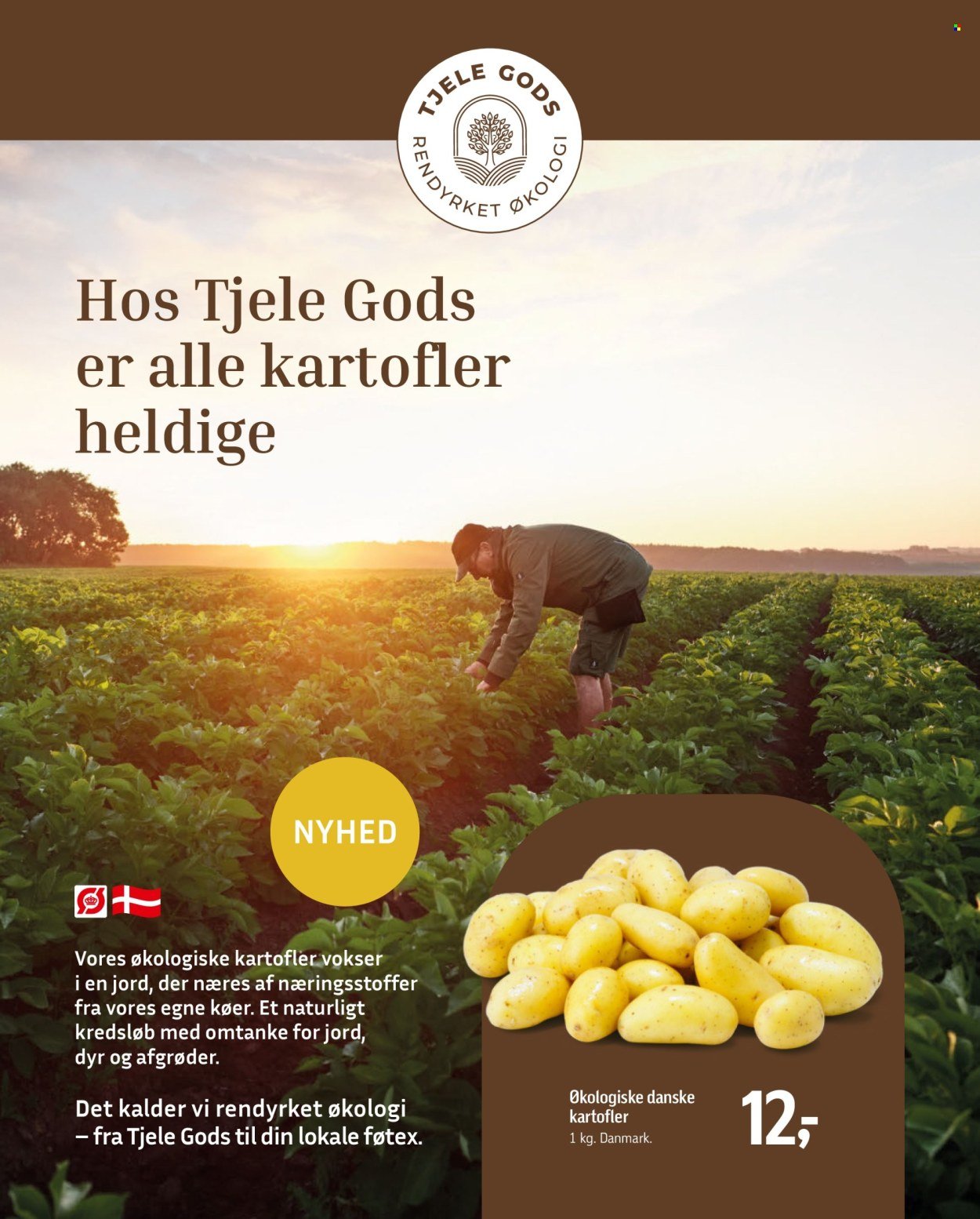FØTEX tilbudsavis - Fra fredag den 14. august 2026