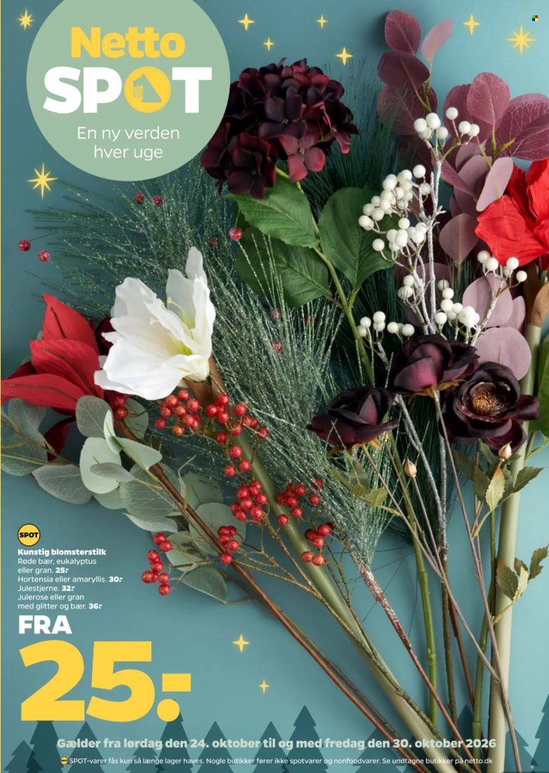 NETTO tilbudsavis - Fra lørdag den 24. oktober 2026
