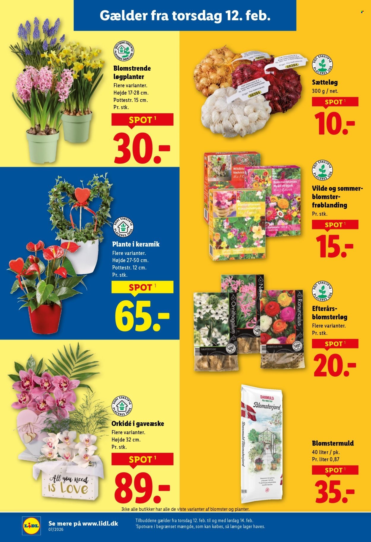 LIDL tilbudsavis - Fra søndag den 8. februar 2026