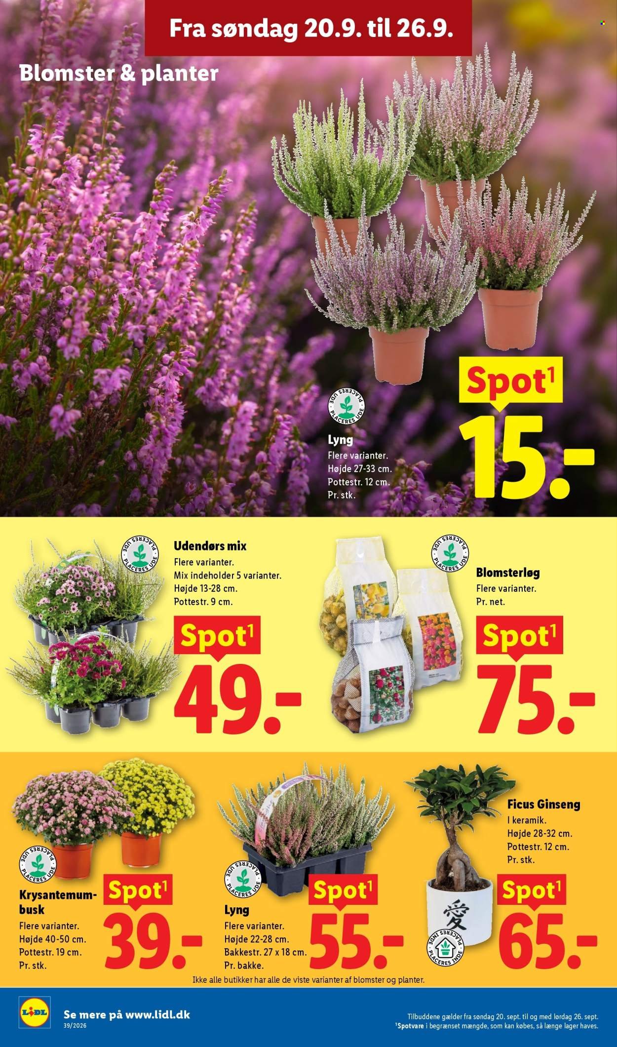 LIDL tilbudsavis - Fra søndag den 20. september 2026