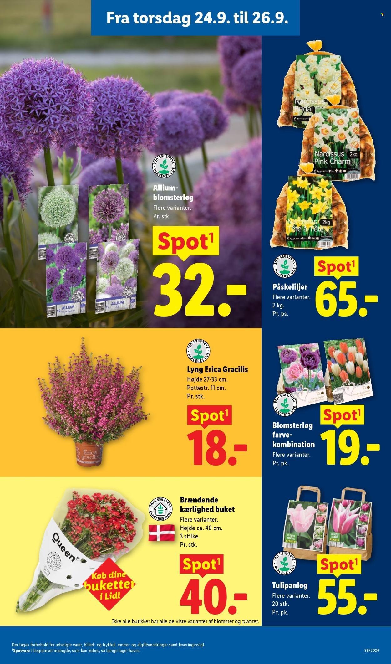 LIDL tilbudsavis - Fra søndag den 20. september 2026