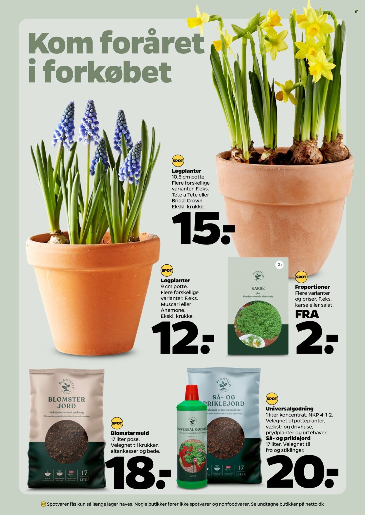 NETTO tilbudsavis - Fra lørdag den 31. januar 2026