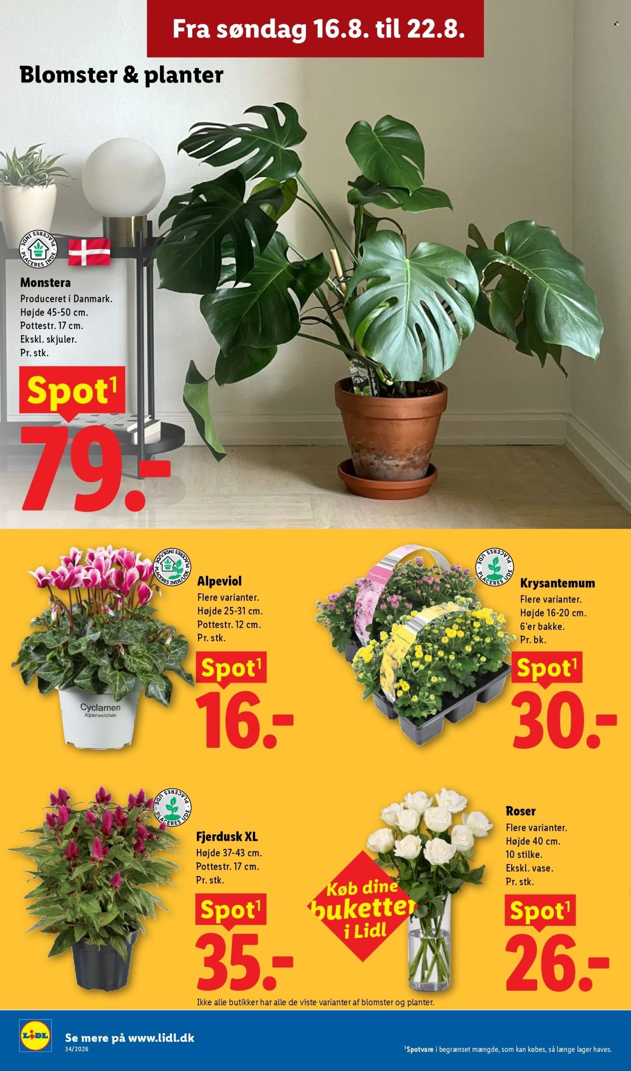 LIDL tilbudsavis - Fra søndag den 16. august 2026