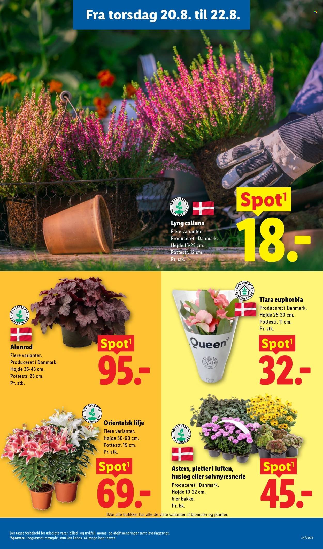 LIDL tilbudsavis - Fra søndag den 16. august 2026