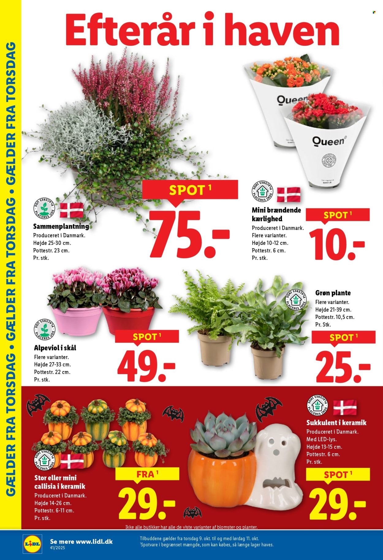 LIDL tilbudsavis - Fra søndag den 5. oktober 2025 (2025-10-05 - 2025-10-11)
