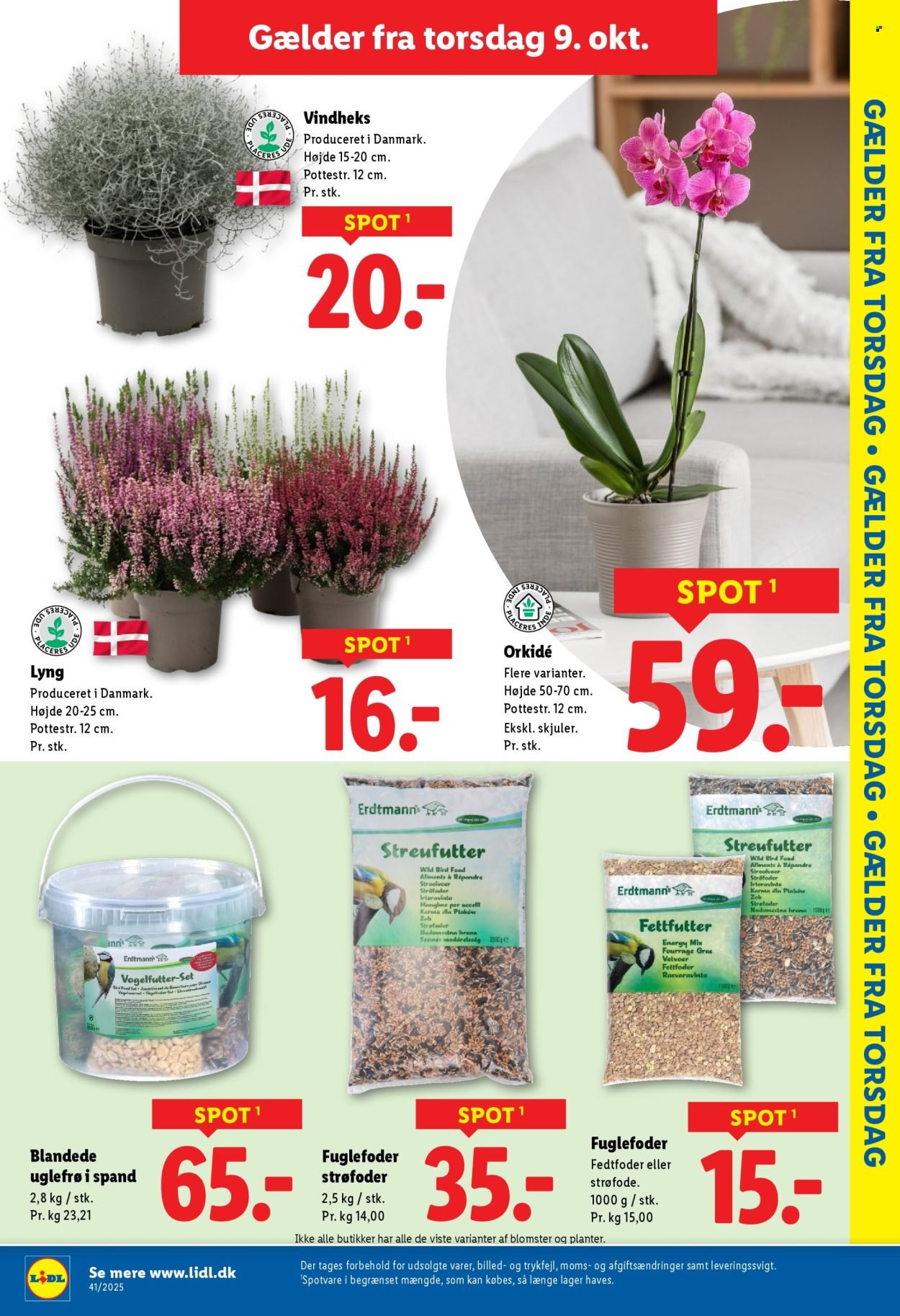 LIDL tilbudsavis - Fra søndag den 5. oktober 2025 (2025-10-05 - 2025-10-11)