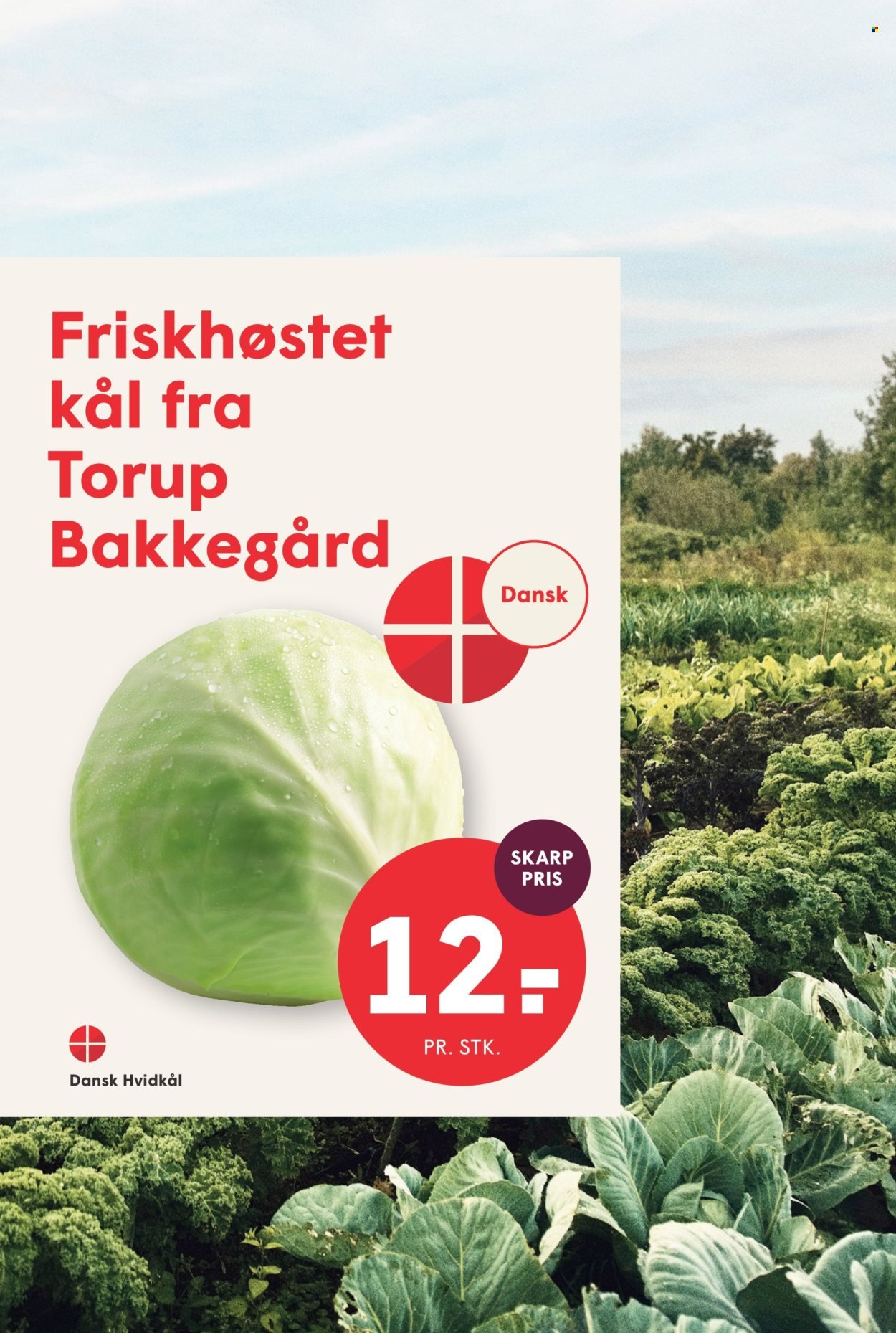 SPAR tilbudsavis - Fra fredag den 9. oktober 2026