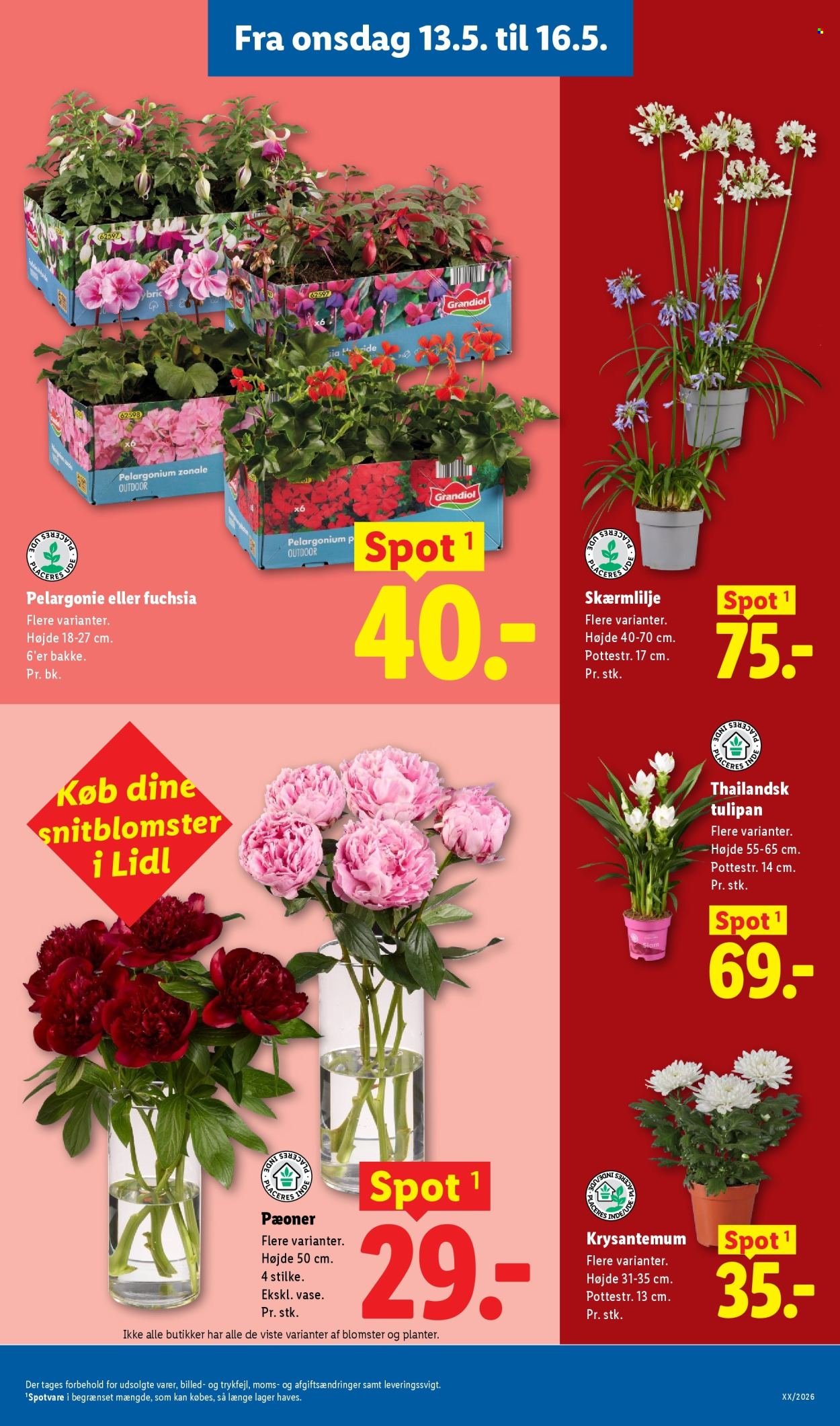 LIDL tilbudsavis - Fra søndag den 10. maj 2026