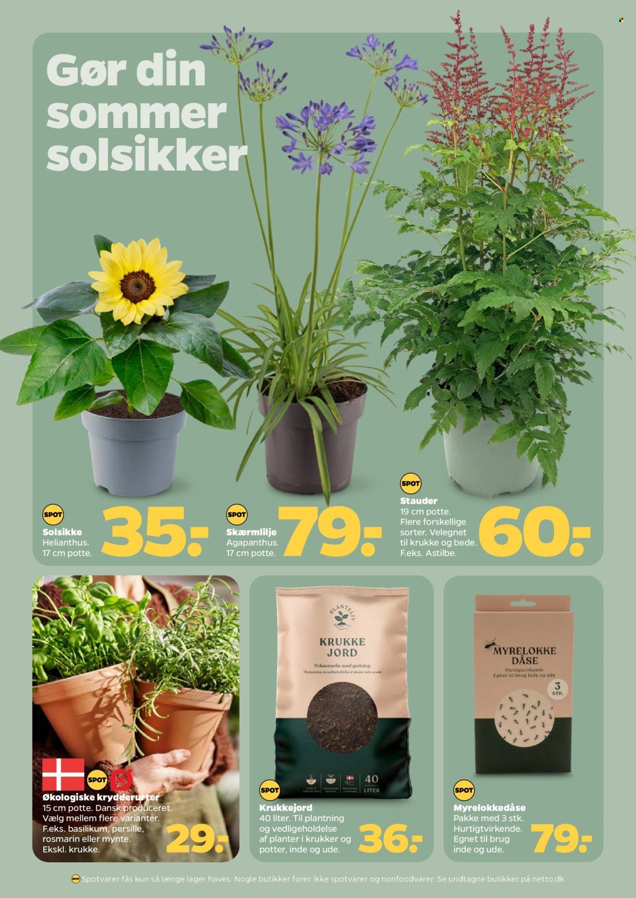 NETTO tilbudsavis - Fra lørdag den 20. juni 2026
