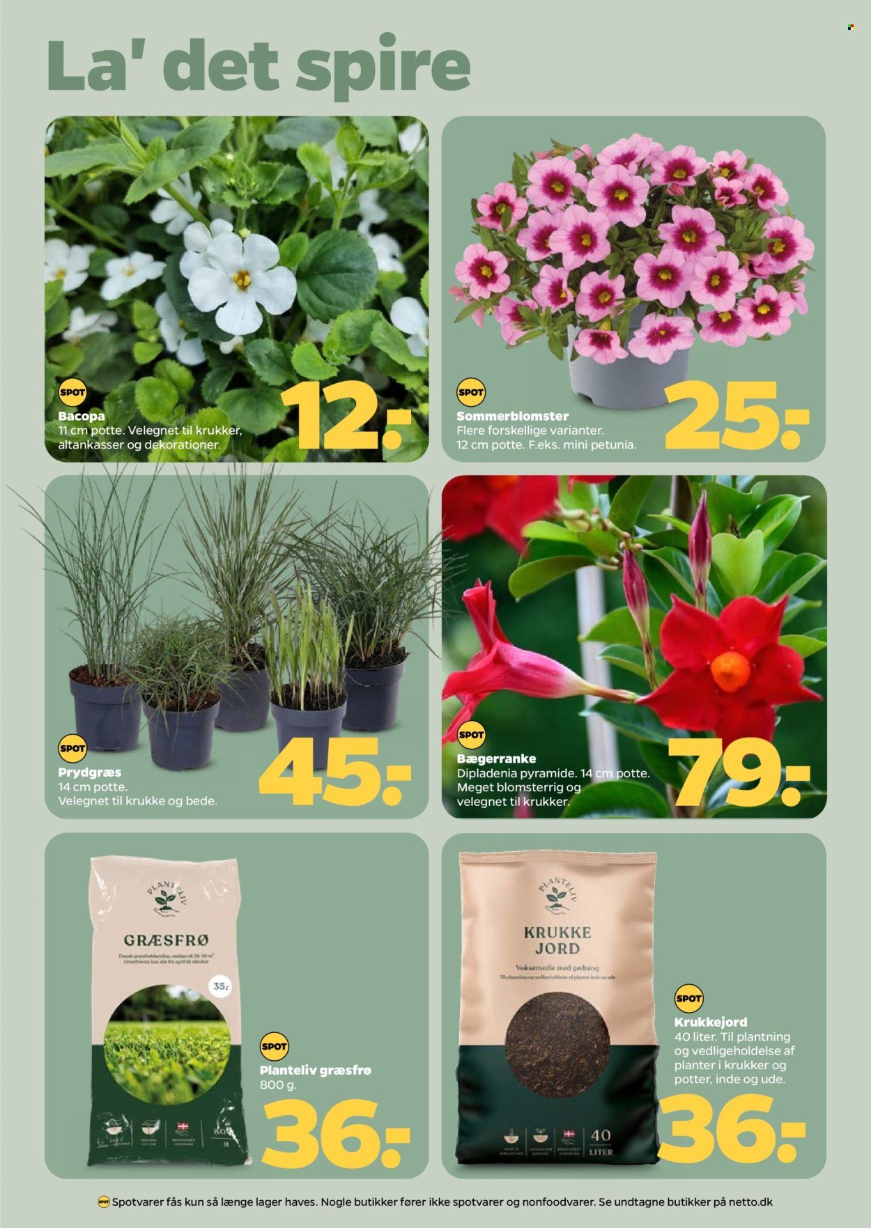 NETTO tilbudsavis - Fra lørdag den 18. april 2026 (2026-04-18 - 2026-04-24)