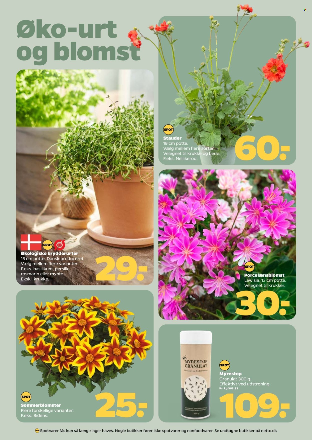 NETTO tilbudsavis - Fra lørdag den 18. april 2026 (2026-04-18 - 2026-04-24)